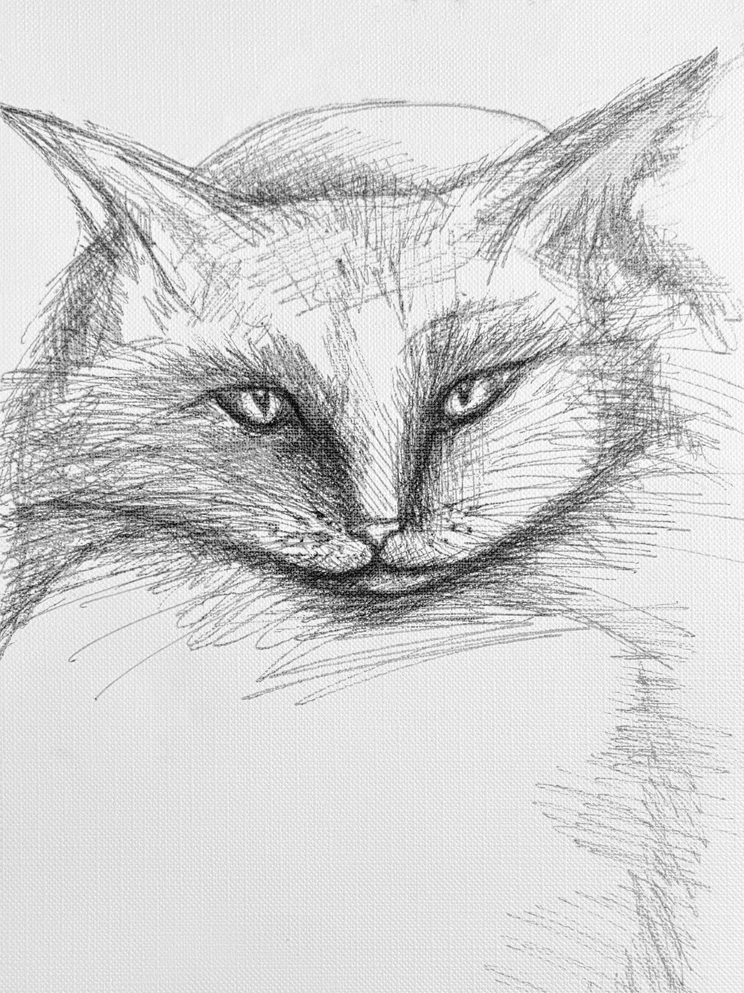 cheshire-kitty.jpg