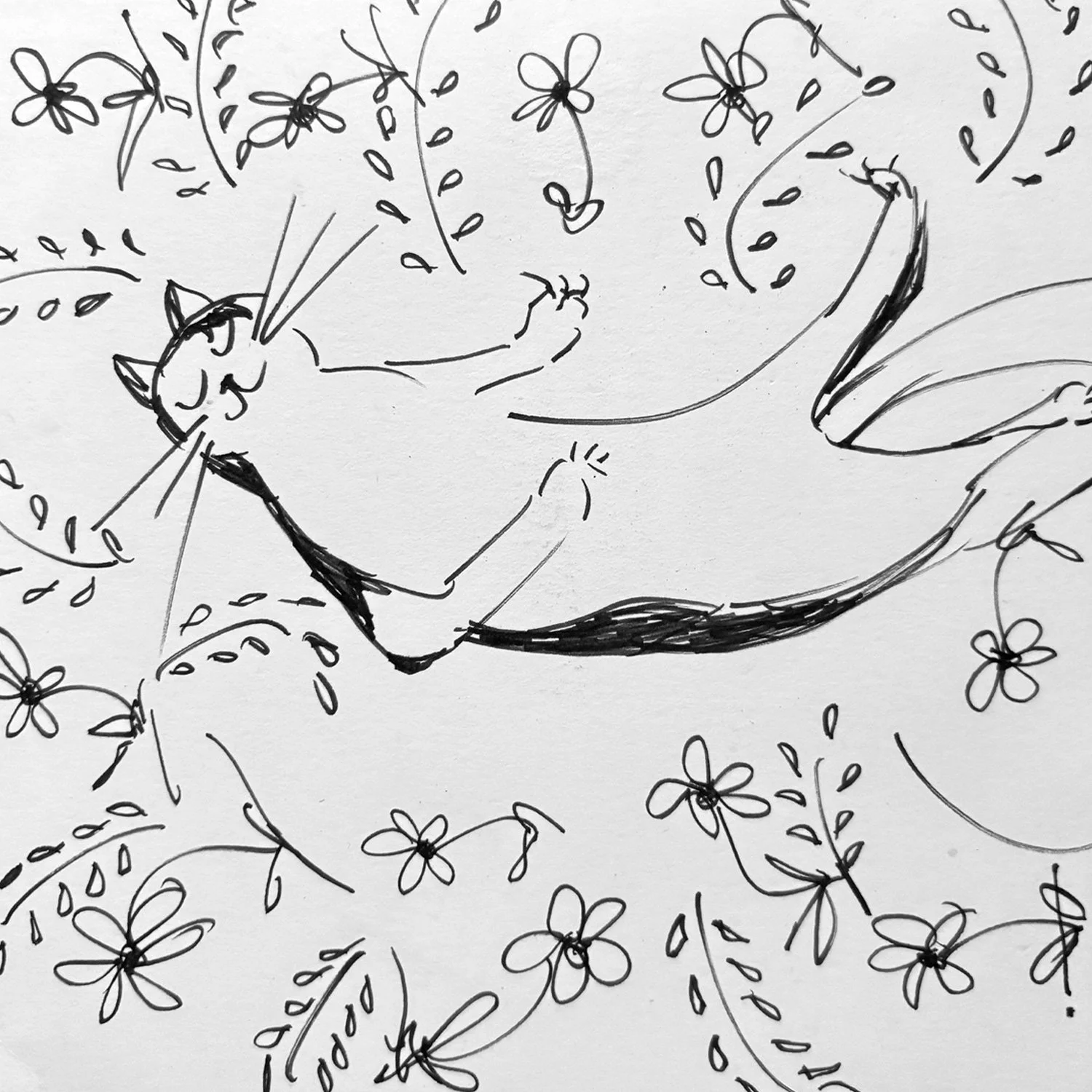 content-kitty_thumbnail_sq.jpg