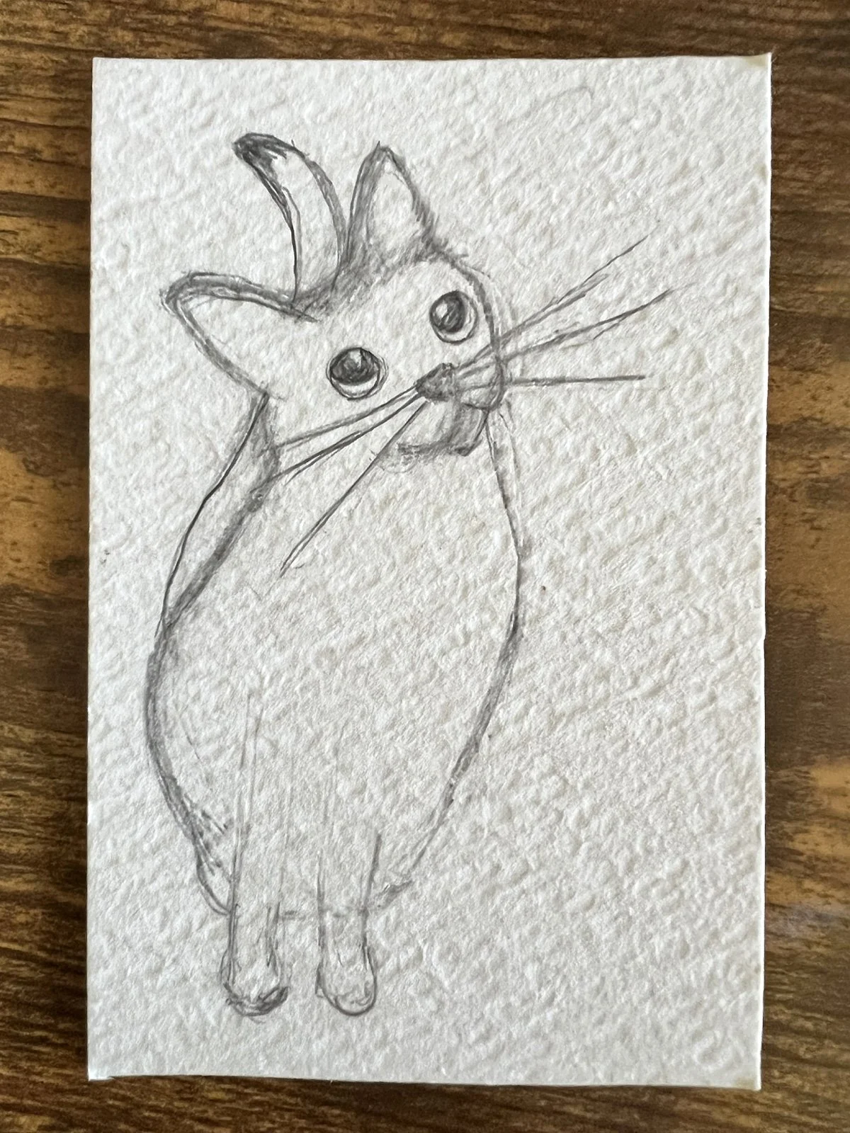 sweet-kitty_thumbnail.jpg