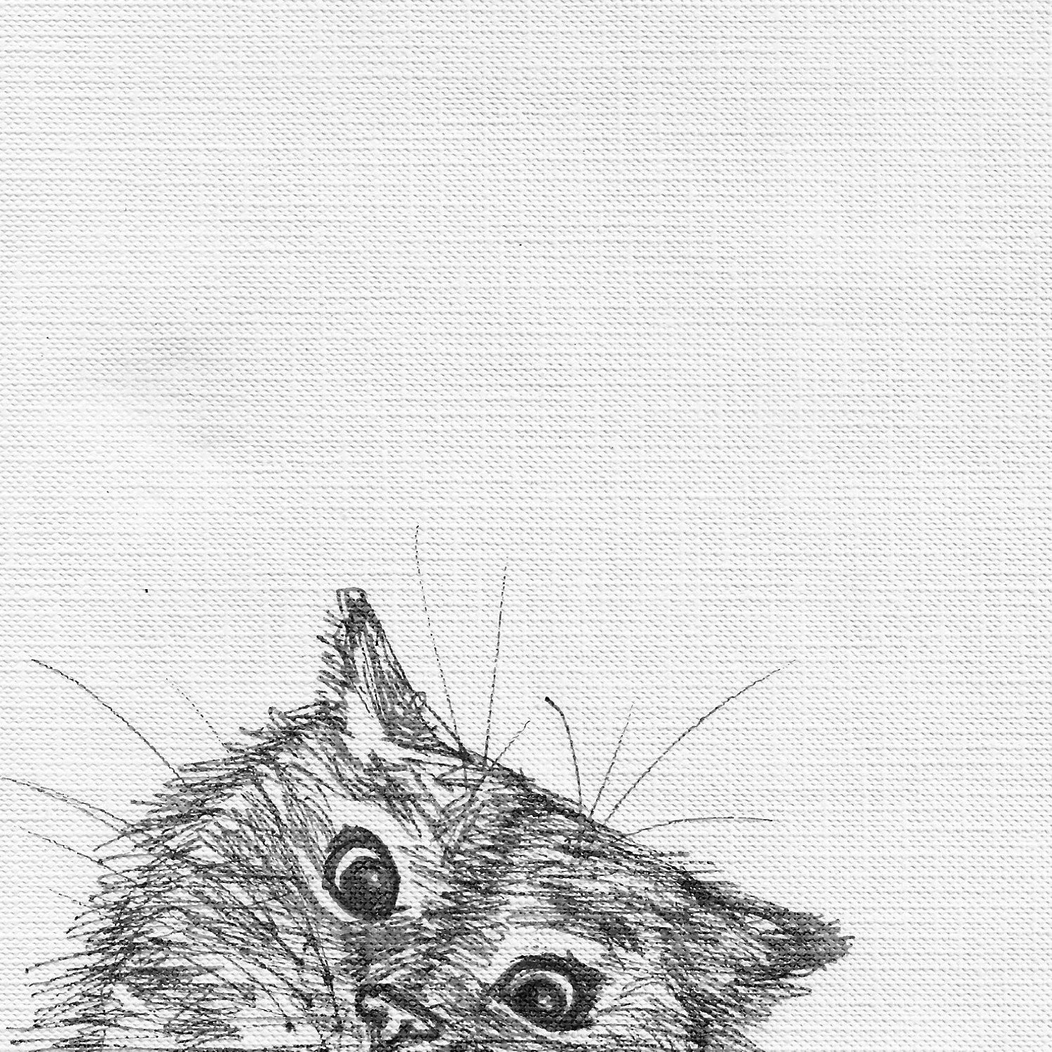 hello-kitty_thumbnail_sq.jpg