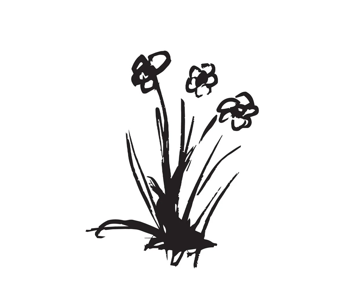 phipps-plaza_flowers.jpg