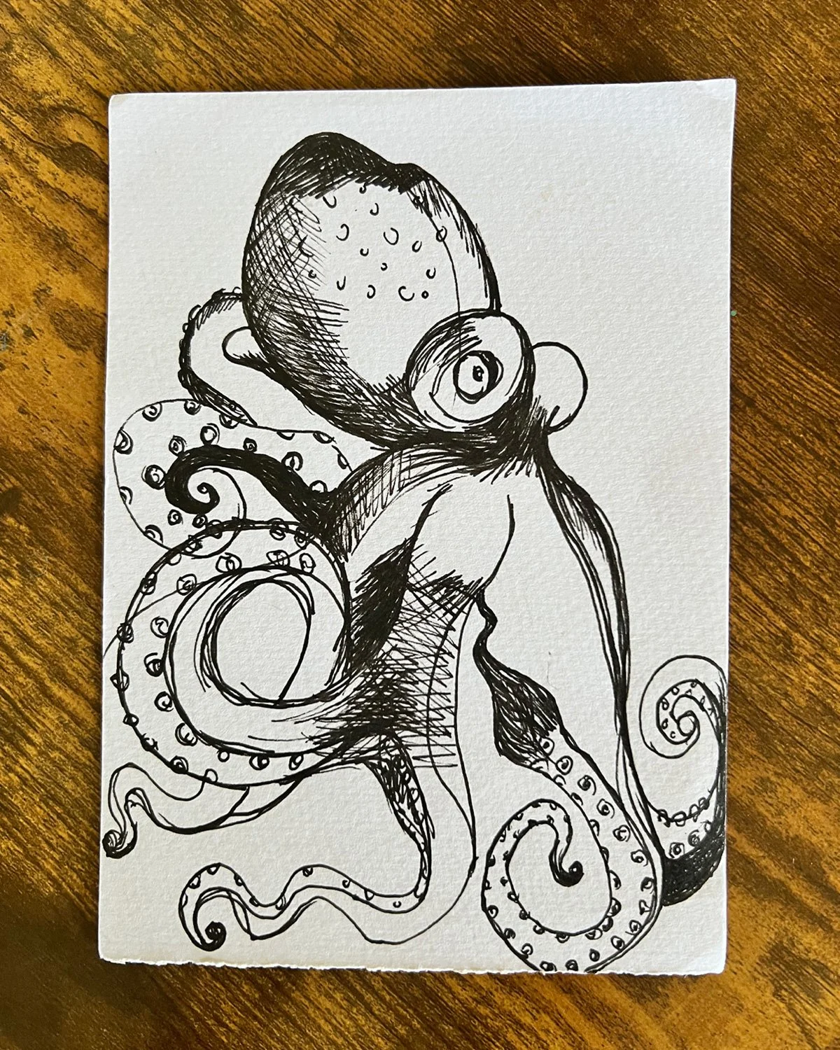 octopus_study2.jpg