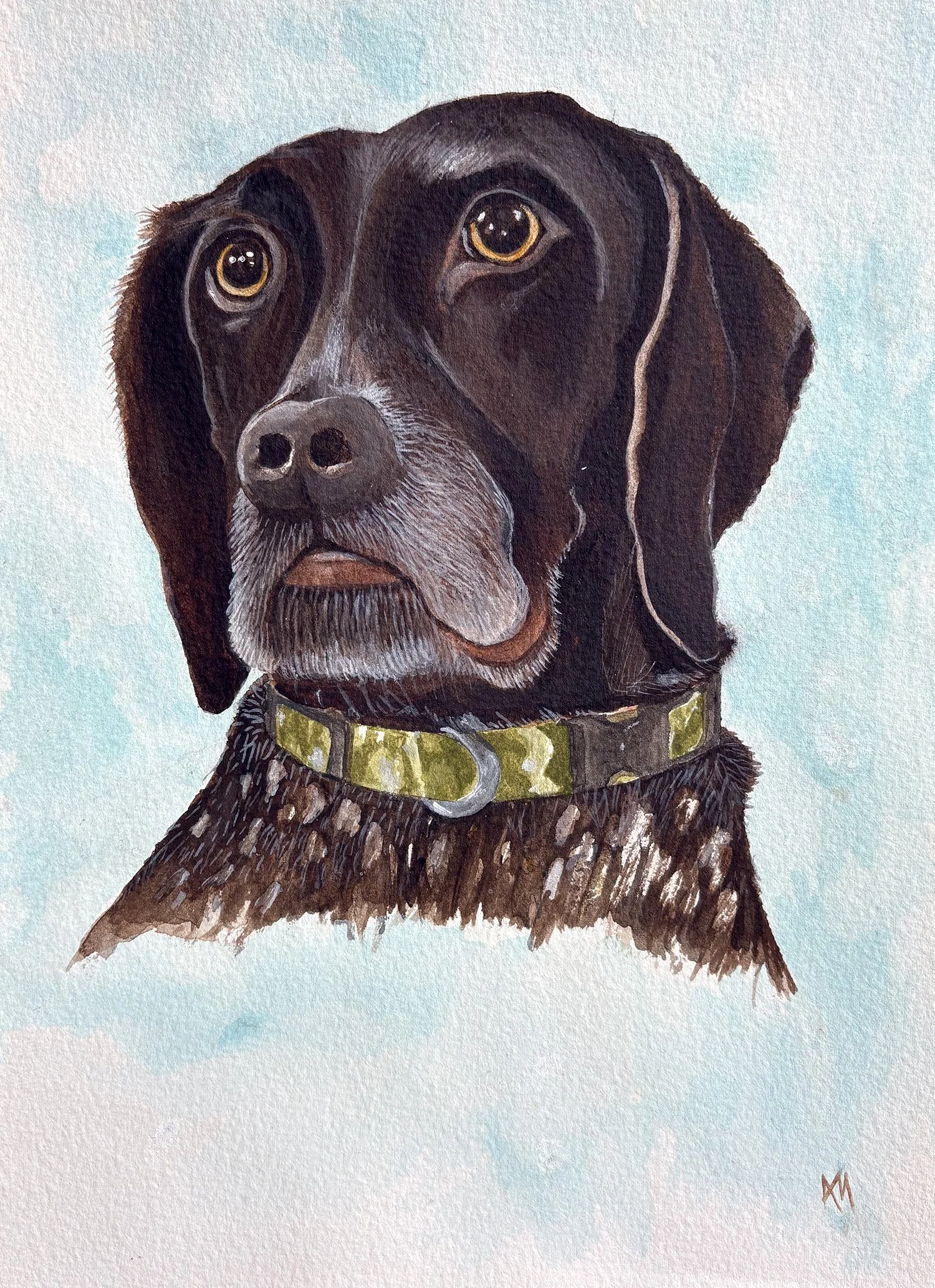 Cooper_watercolor
