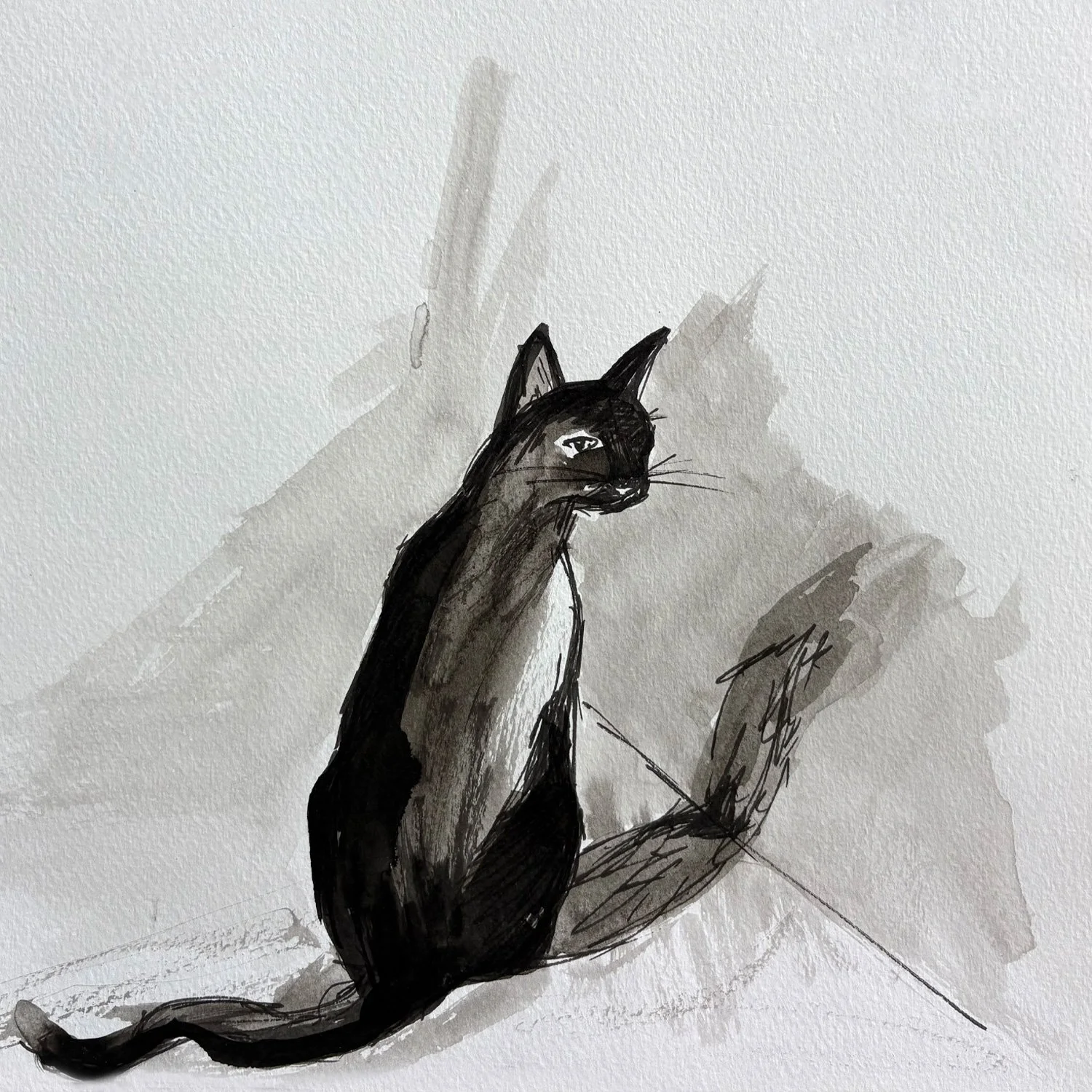 midnight-kitty_thumbnail_sq.jpg