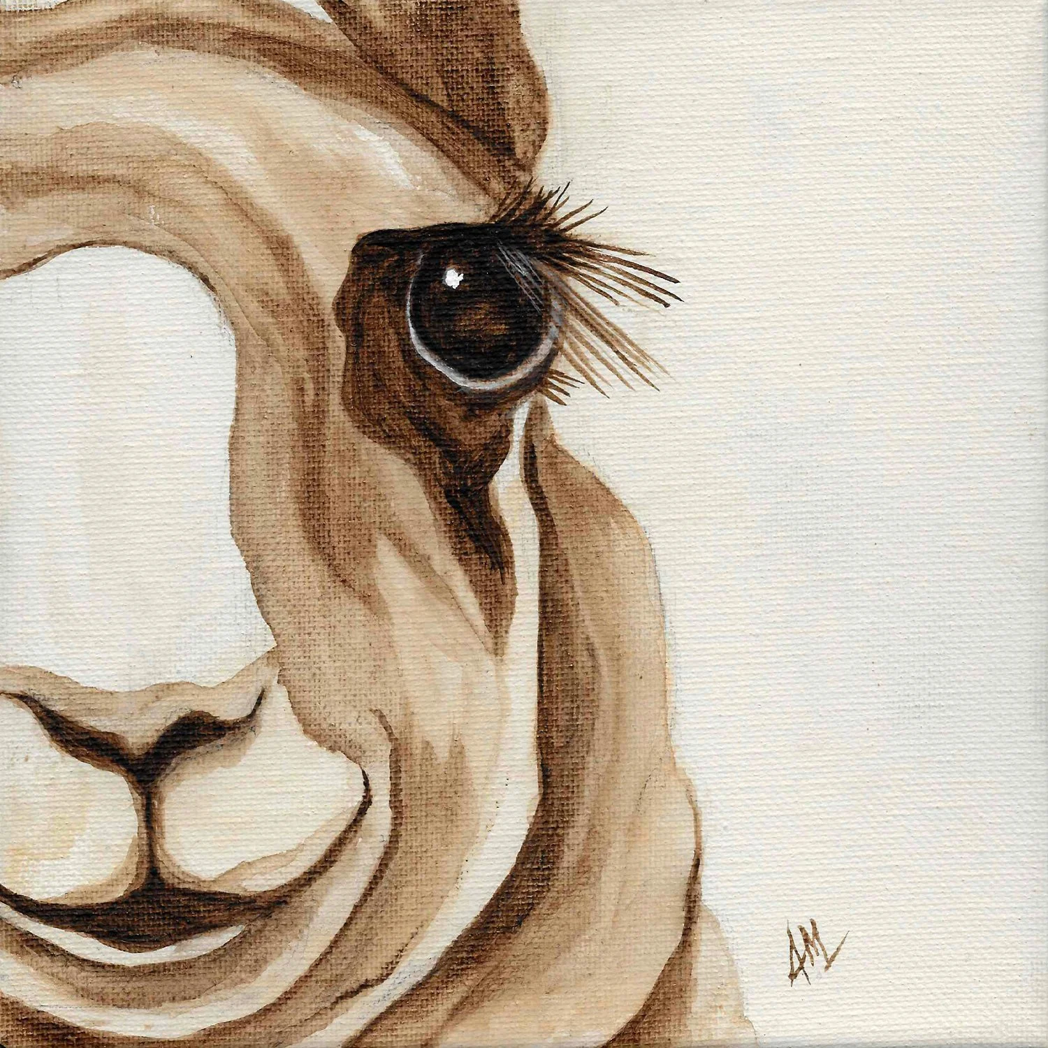 llama-love_thumbnail_sq.jpg