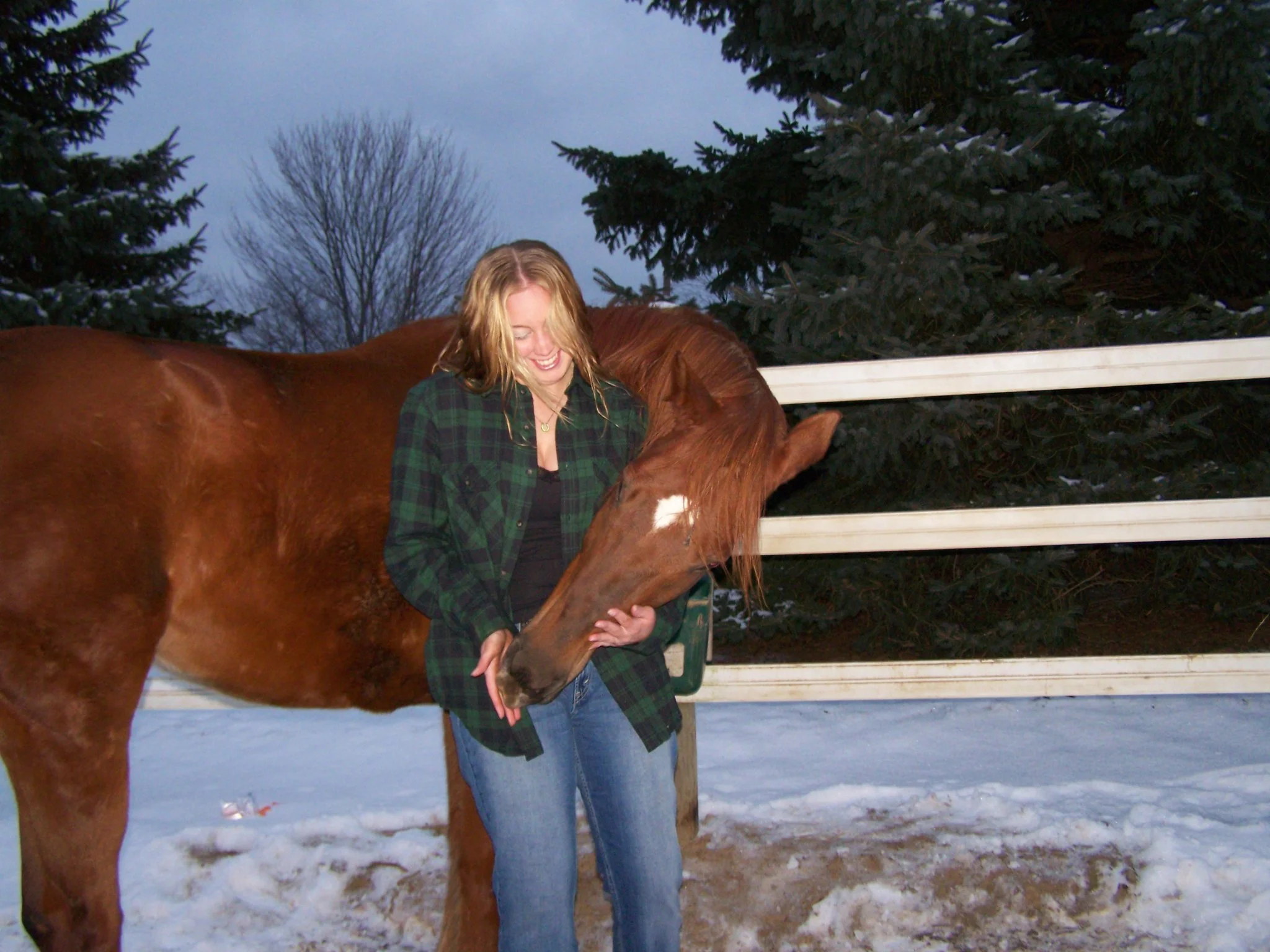 Laura Leedy is the therapist at Life's Healing Journey, PLLC Counseling Service