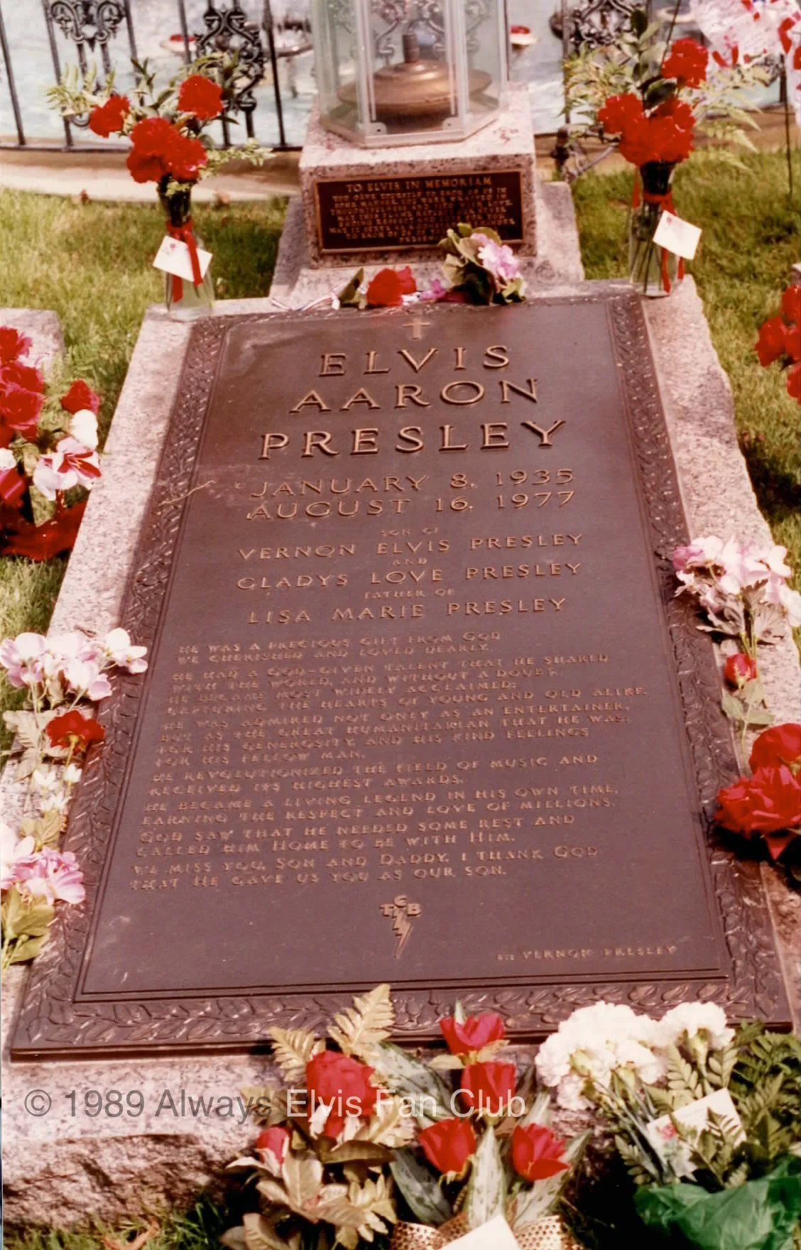 Graceland3.jpg