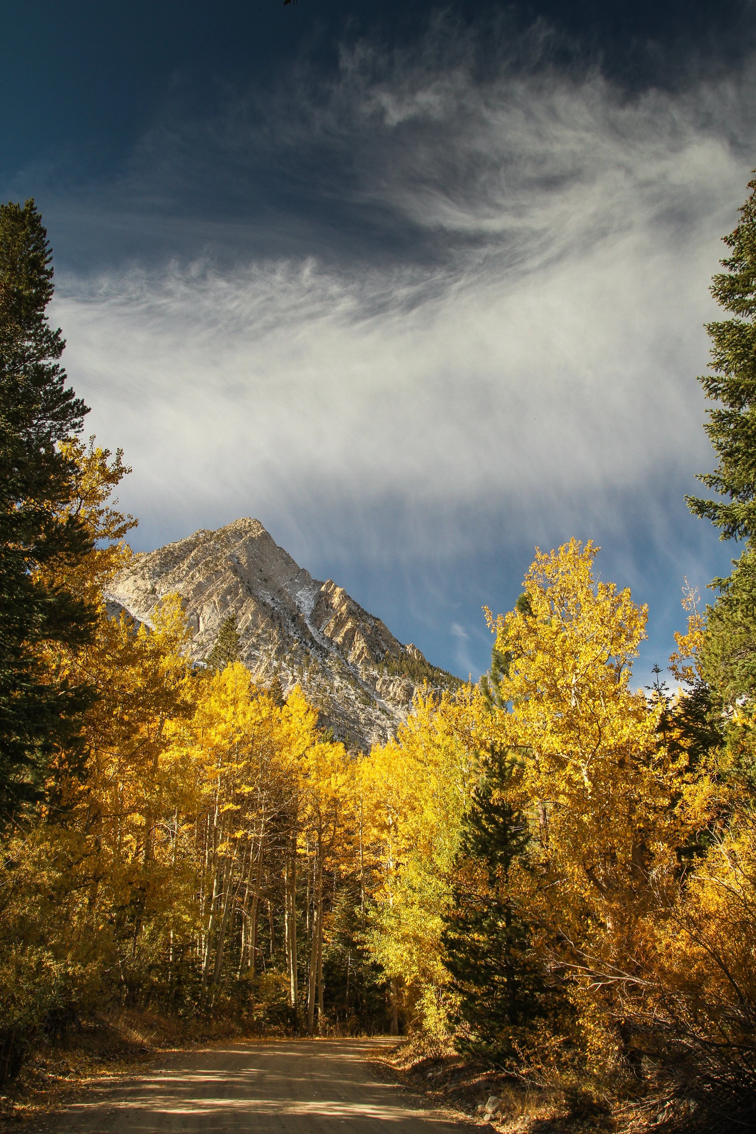 17. Lee Vining Creek Colors #2: Eastern Sierra,  CA, Fall