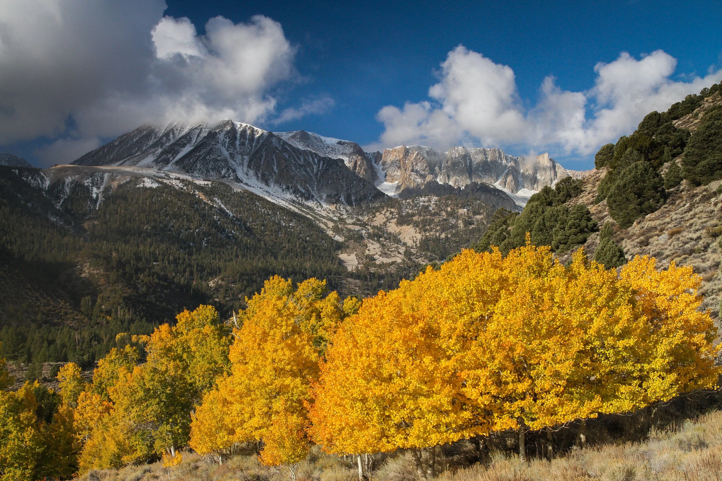 13. Camp Site and the Dana Plateau: Eastern Sierra, CA