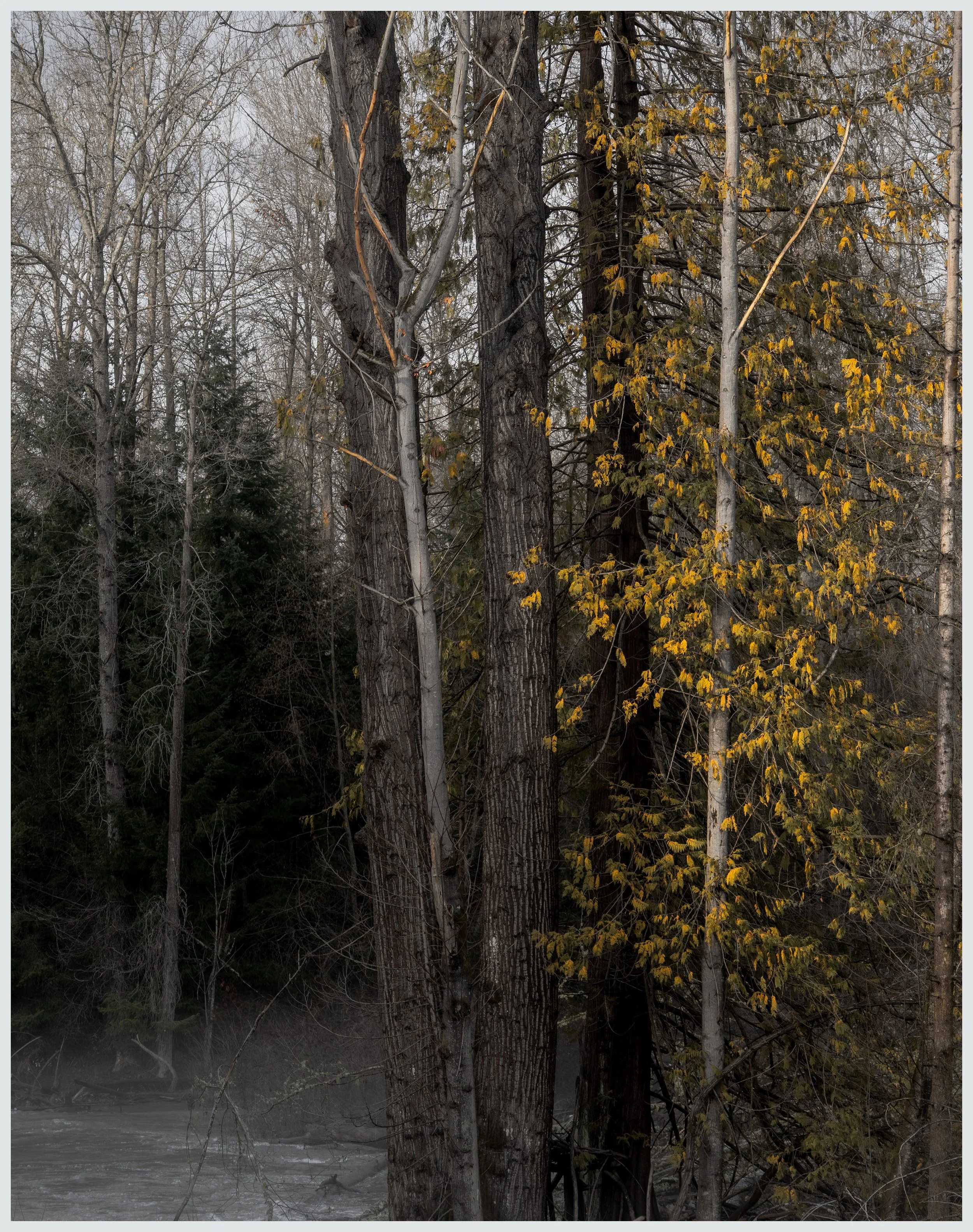 The Sun’s Golden Kiss 11x14.jpg