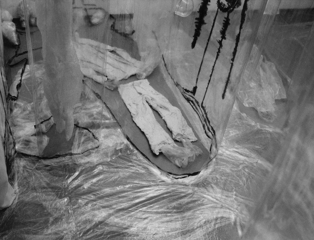 Limbes cadavres