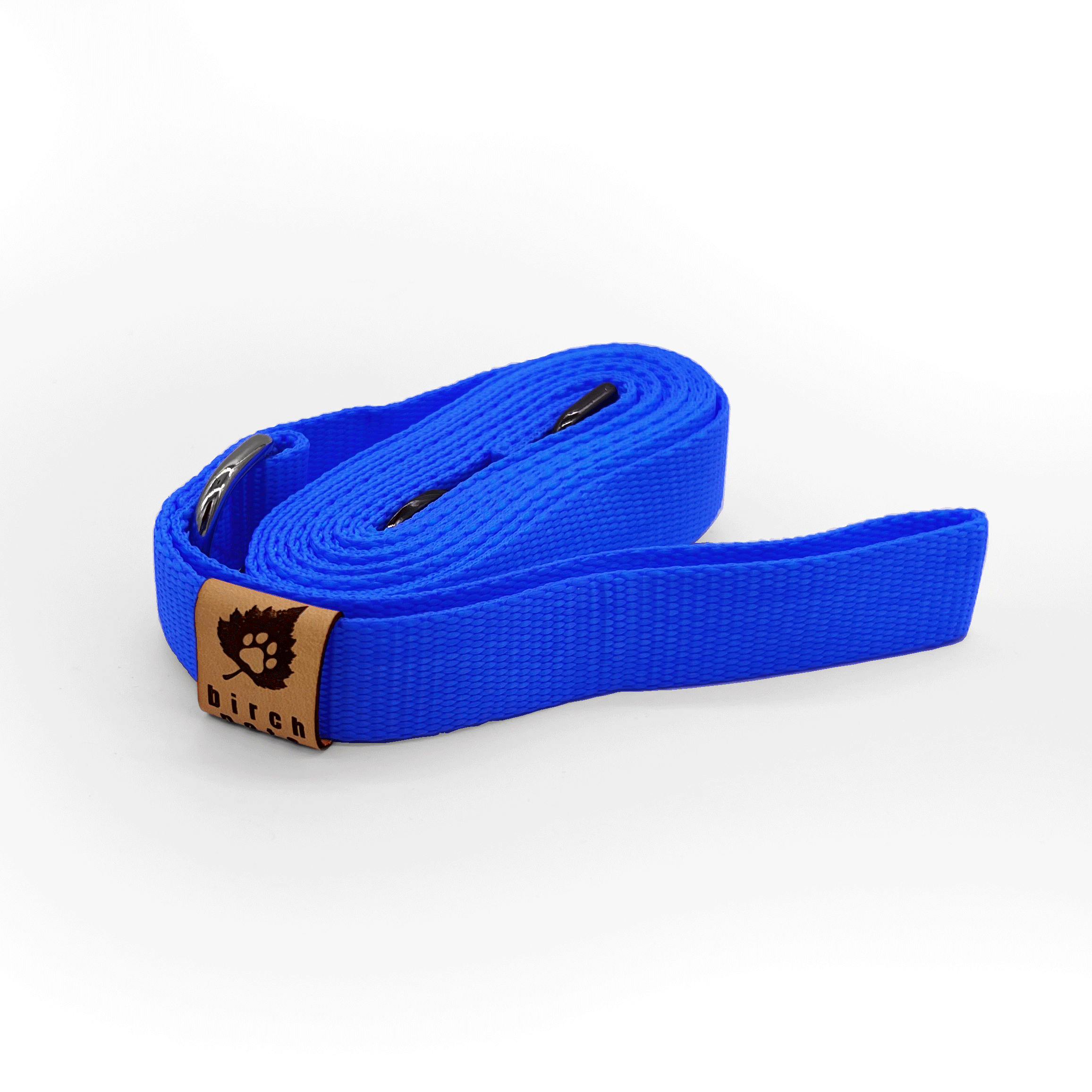 birchleash_lease_0001_BLUE.png