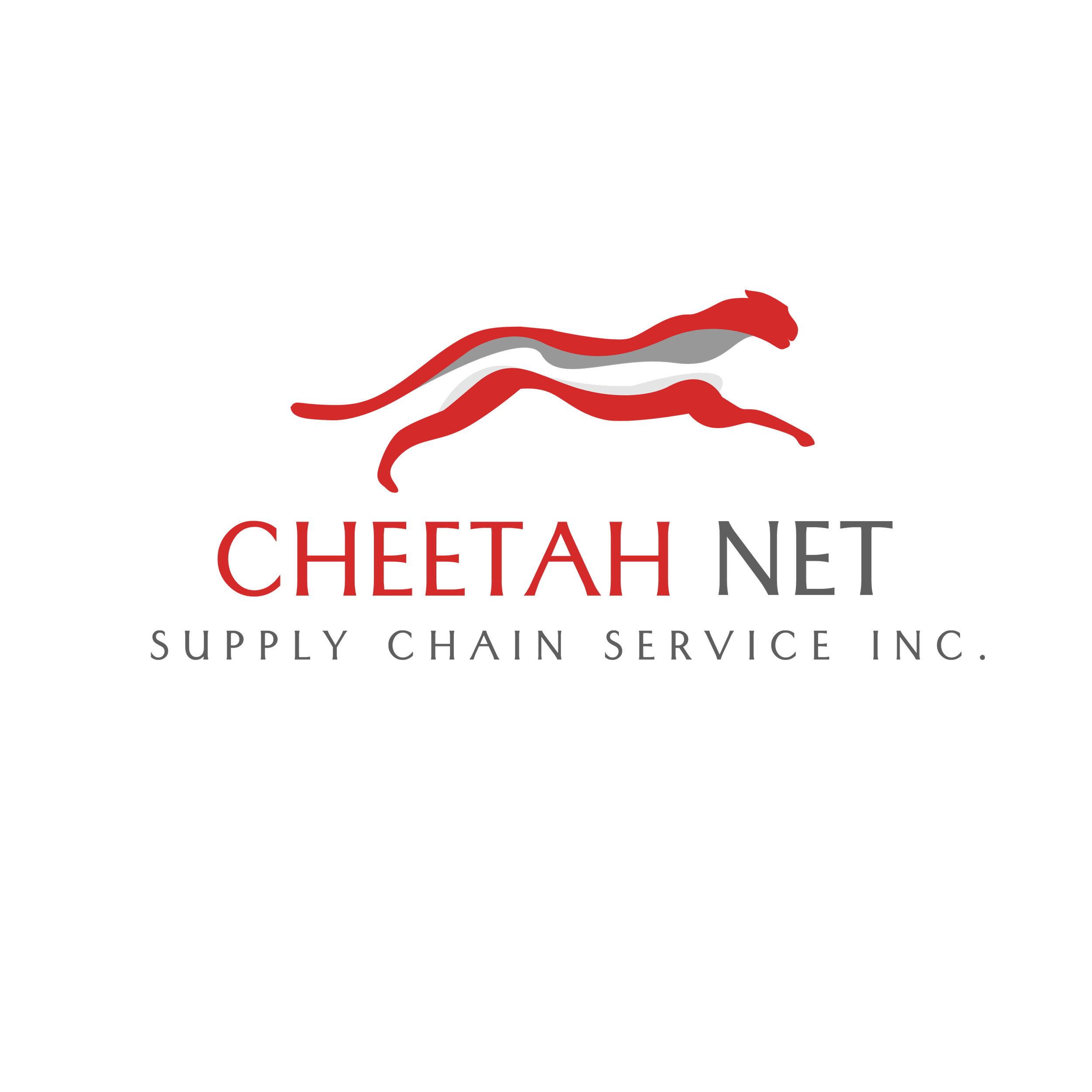 Service chain