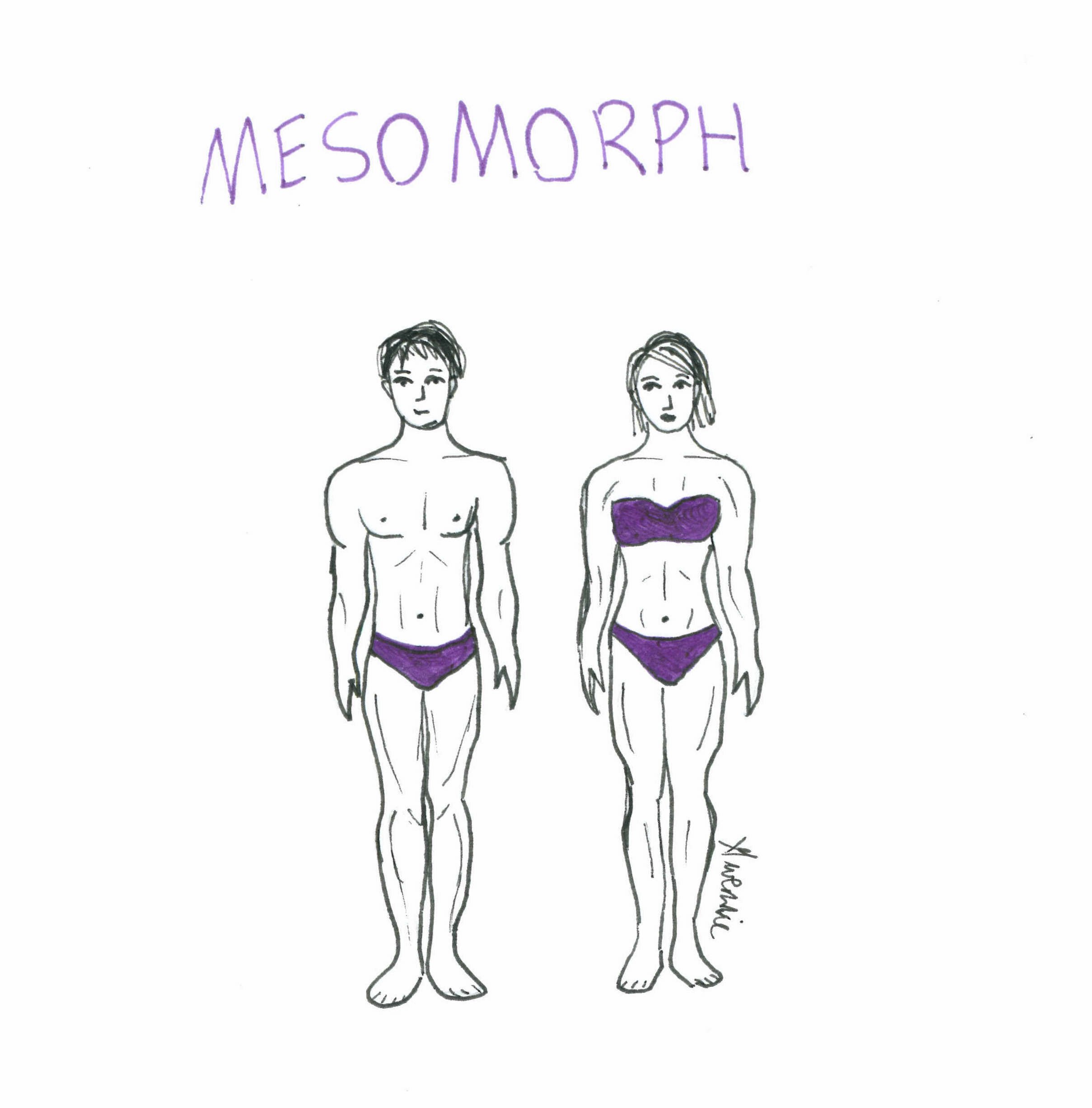 Somatotypes