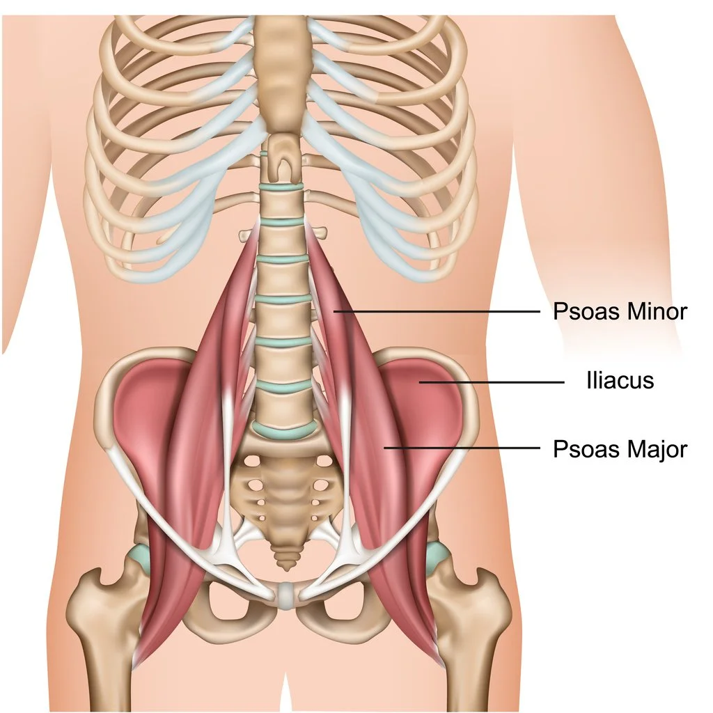 Strengthening &amp; Lengthening the Psoas