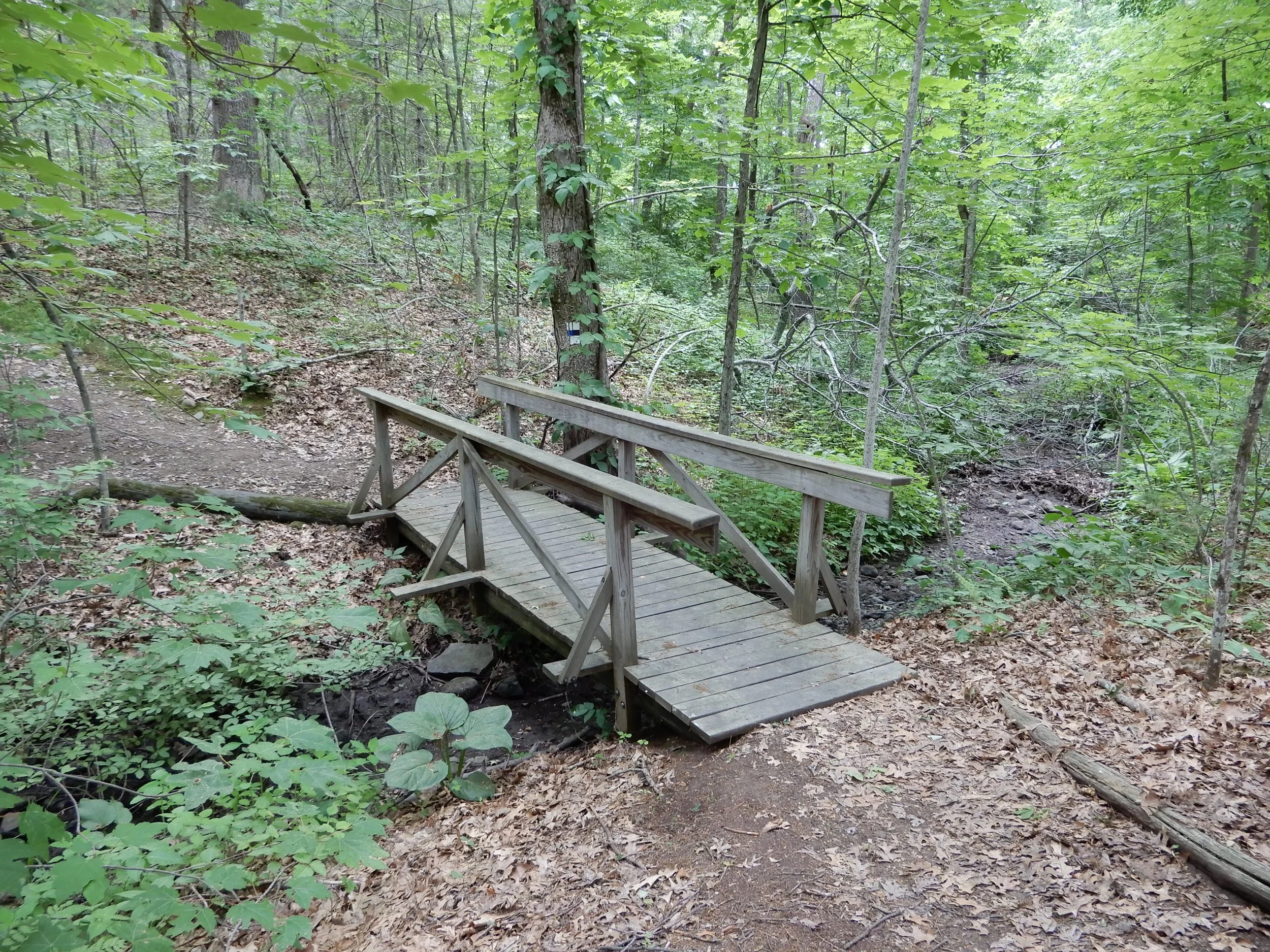 Bridge over dry stream.JPG