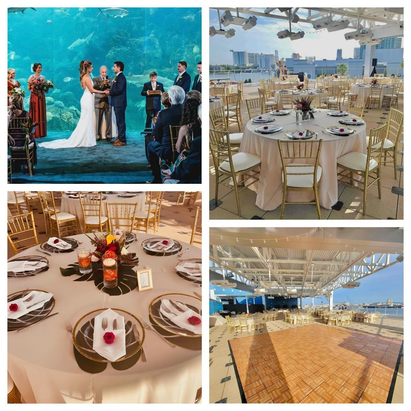 Rooftop reception at The Florida Aquarium. We provided the Gold Chiavari Chairs, Gold Rim Glass Chargers, &amp; Oak Style Dance Floors.  Pleasure working with Days Remembered by ND, Across The Bay Event Rentals, Astewart Phot &amp; Video, Boones Pro 