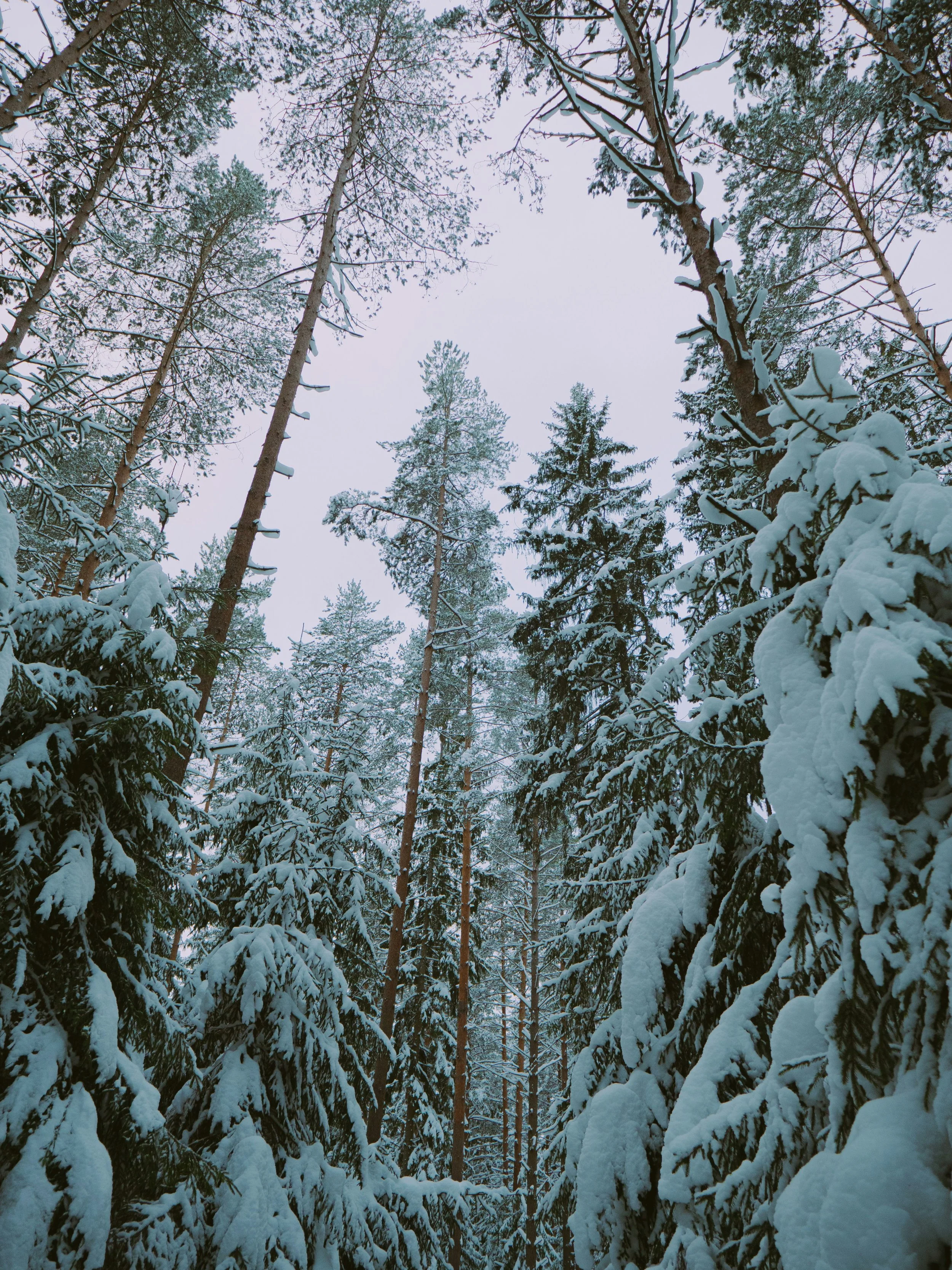 Winter Retreat