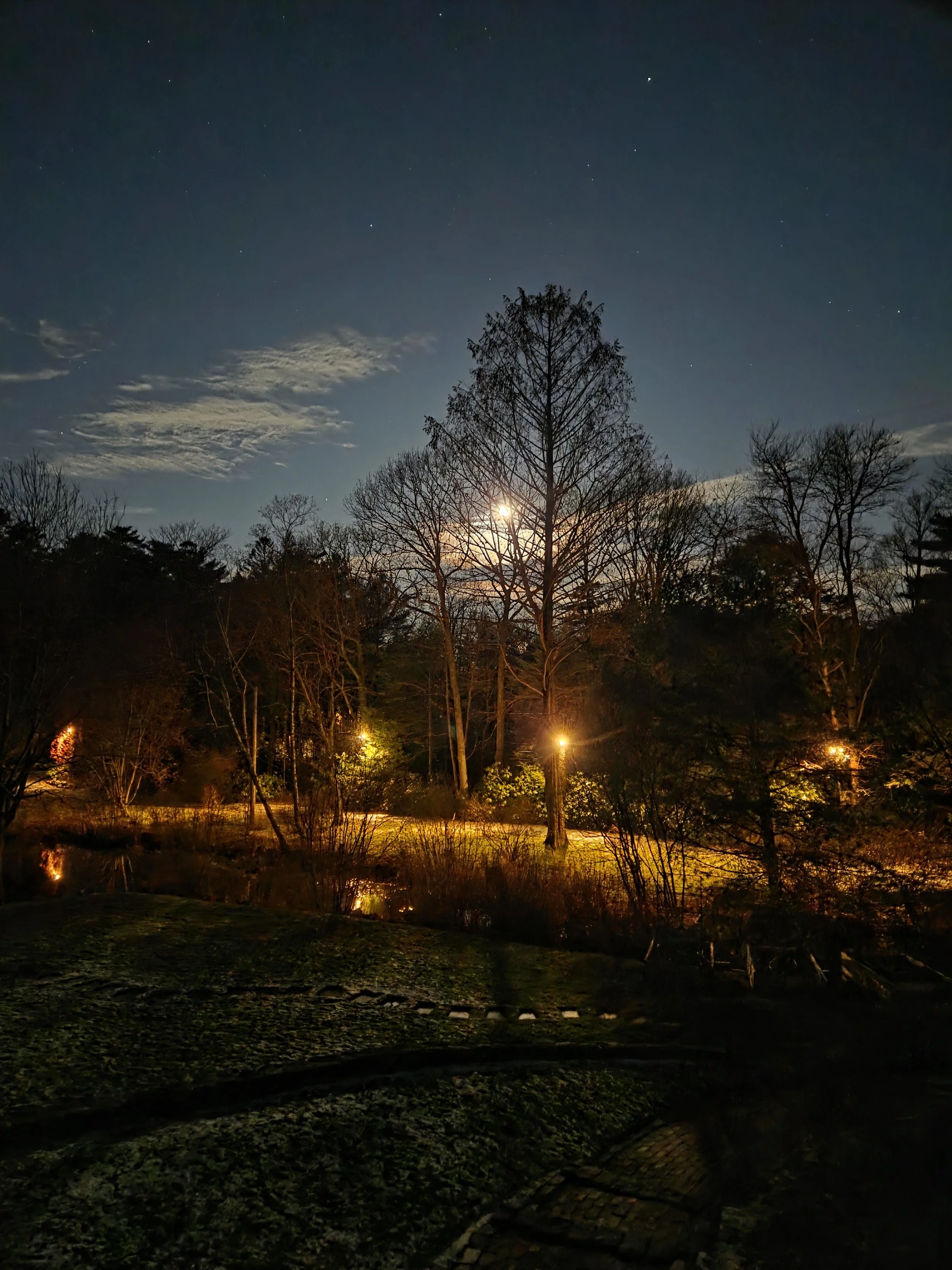 2025: The Year Newsletter Sponsorships Grew Up