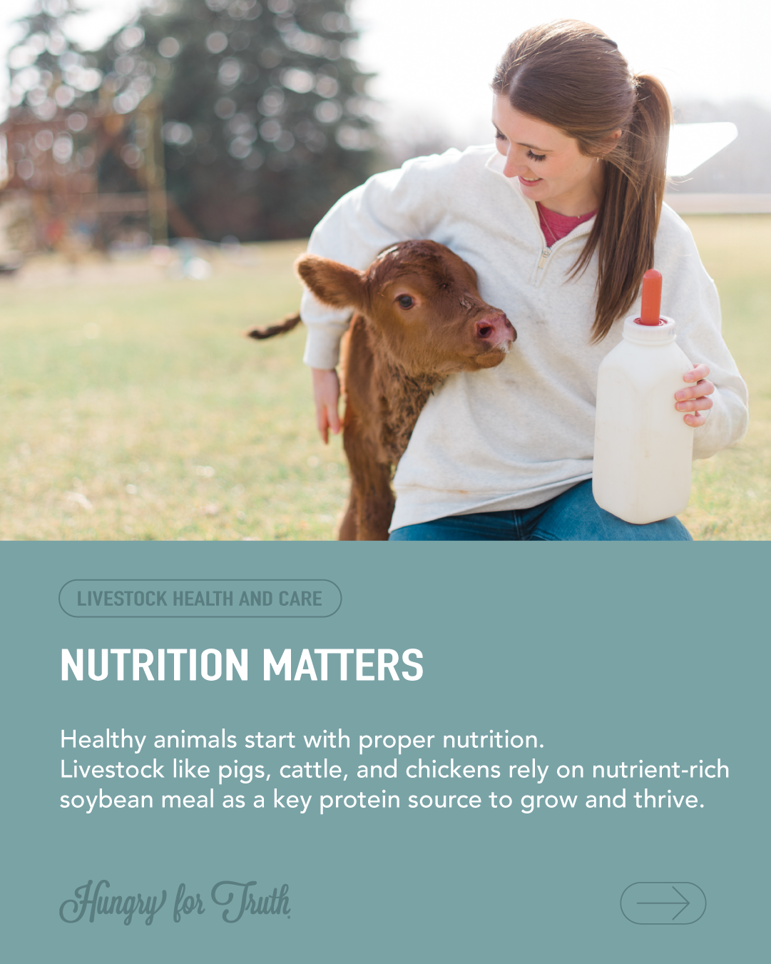 woman holding milk bottle and baby calf