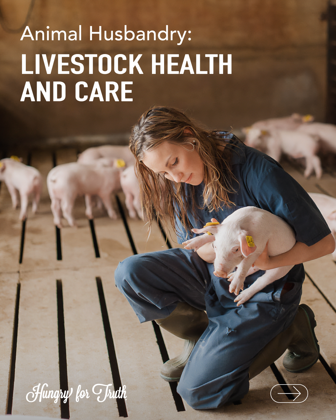 woman holding a baby pig