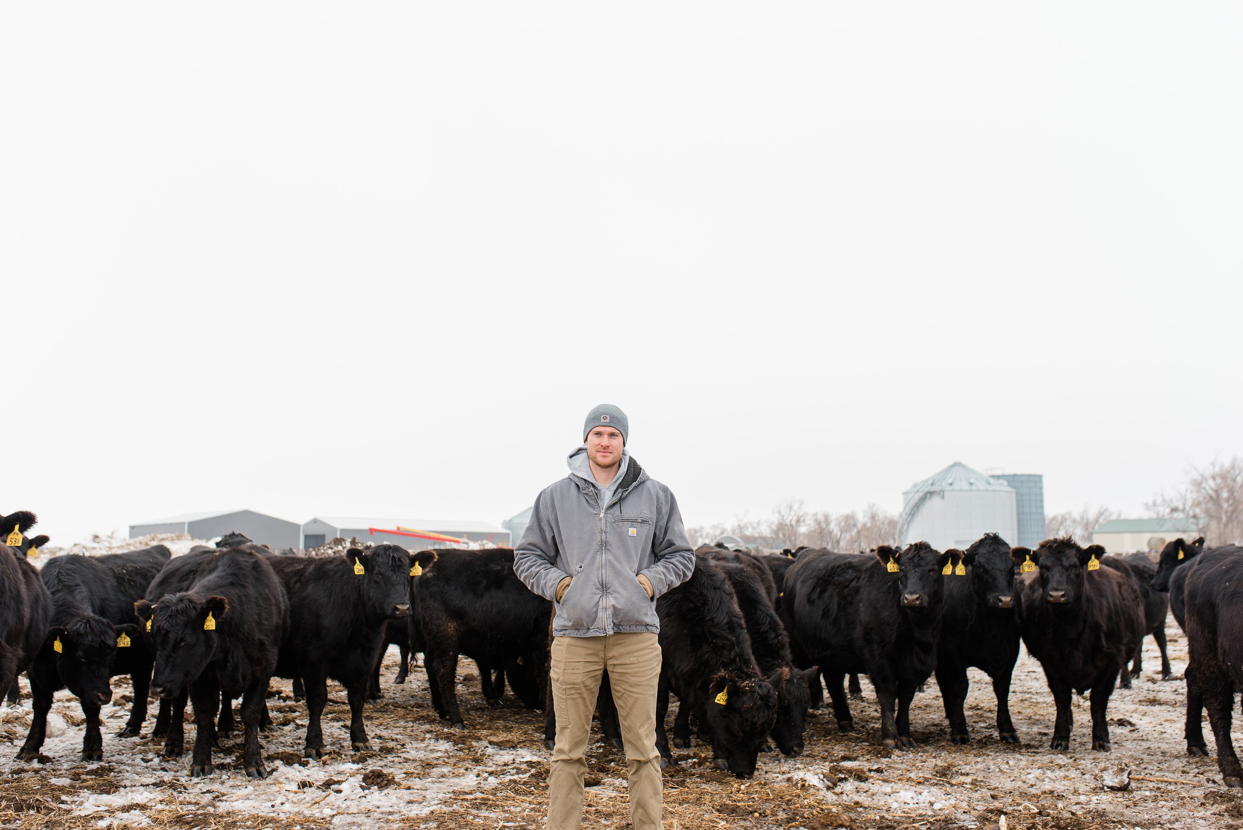 Wide shot of Cole Sonne standing outside in front of a herd of cows.