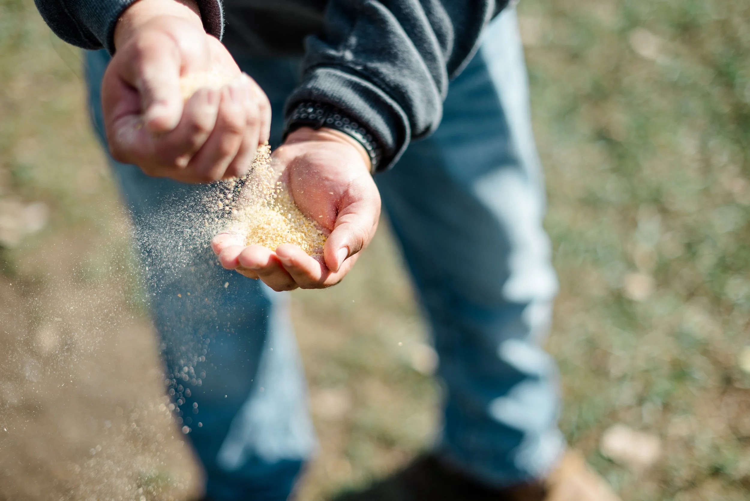 HFT -  AJ's Pheasant Hunting-27.jpg