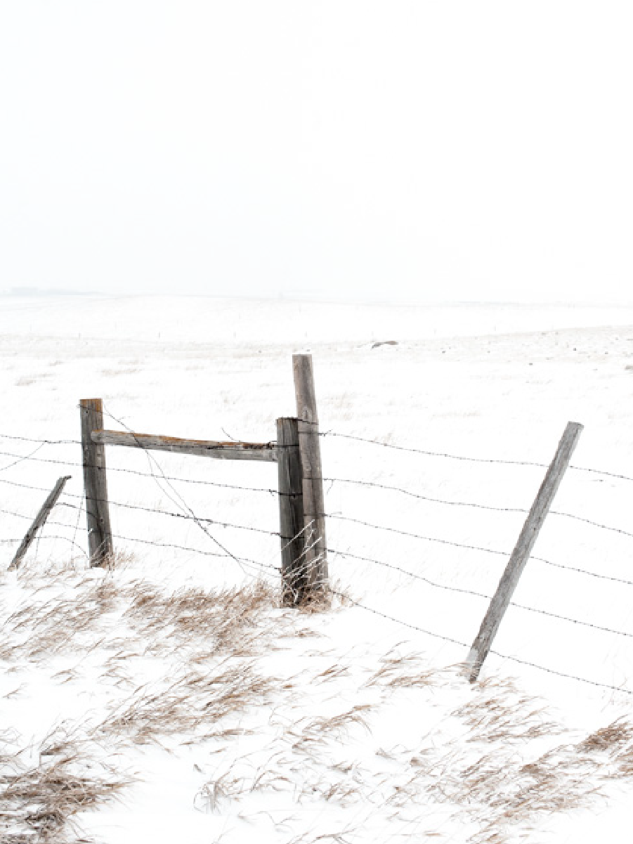 Winter Soil Management: Preparing for a Successful Planting Season