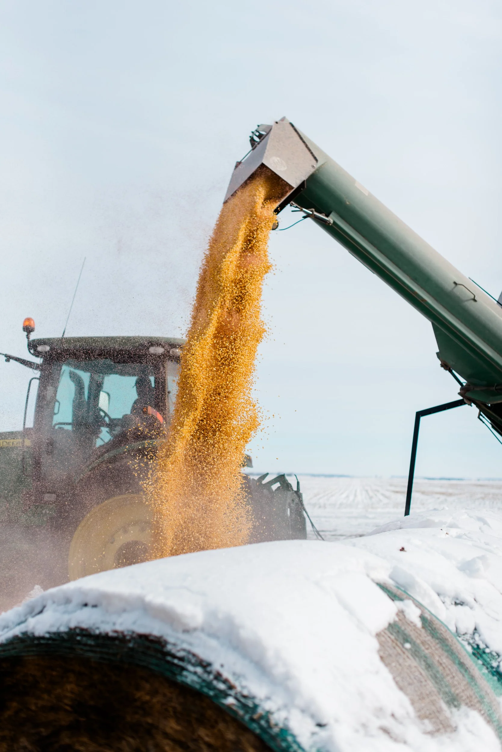 HFT - Ross Tschetter 2026-8.jpg