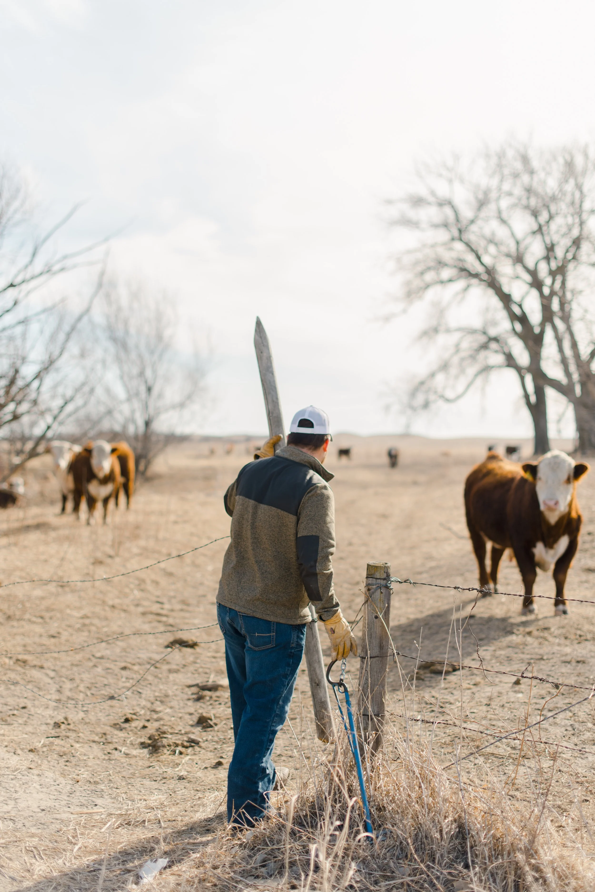 HFT - Luke Hennebold - next gen-35.jpg