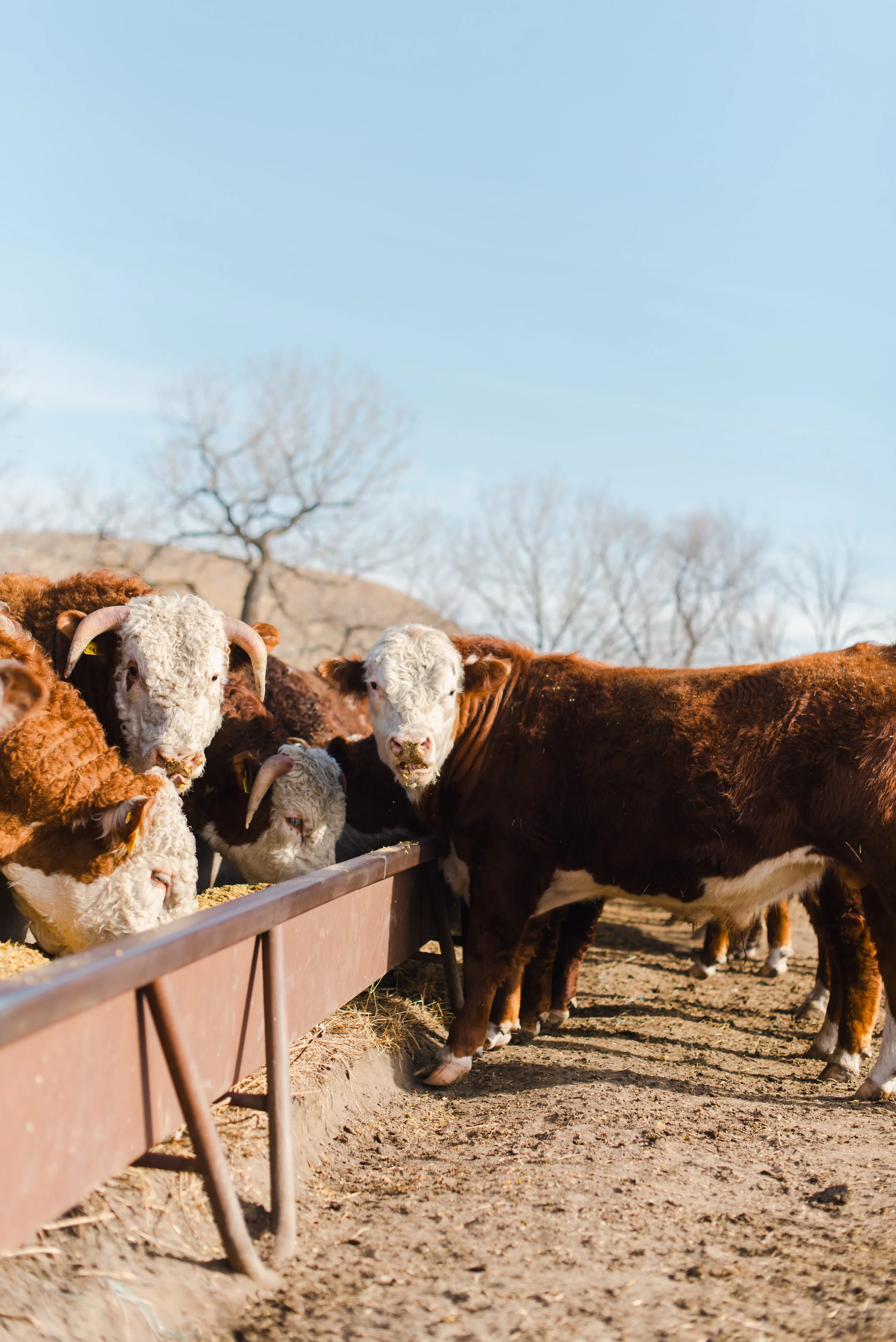 HFT - Luke Hennebold - next gen-54.jpg