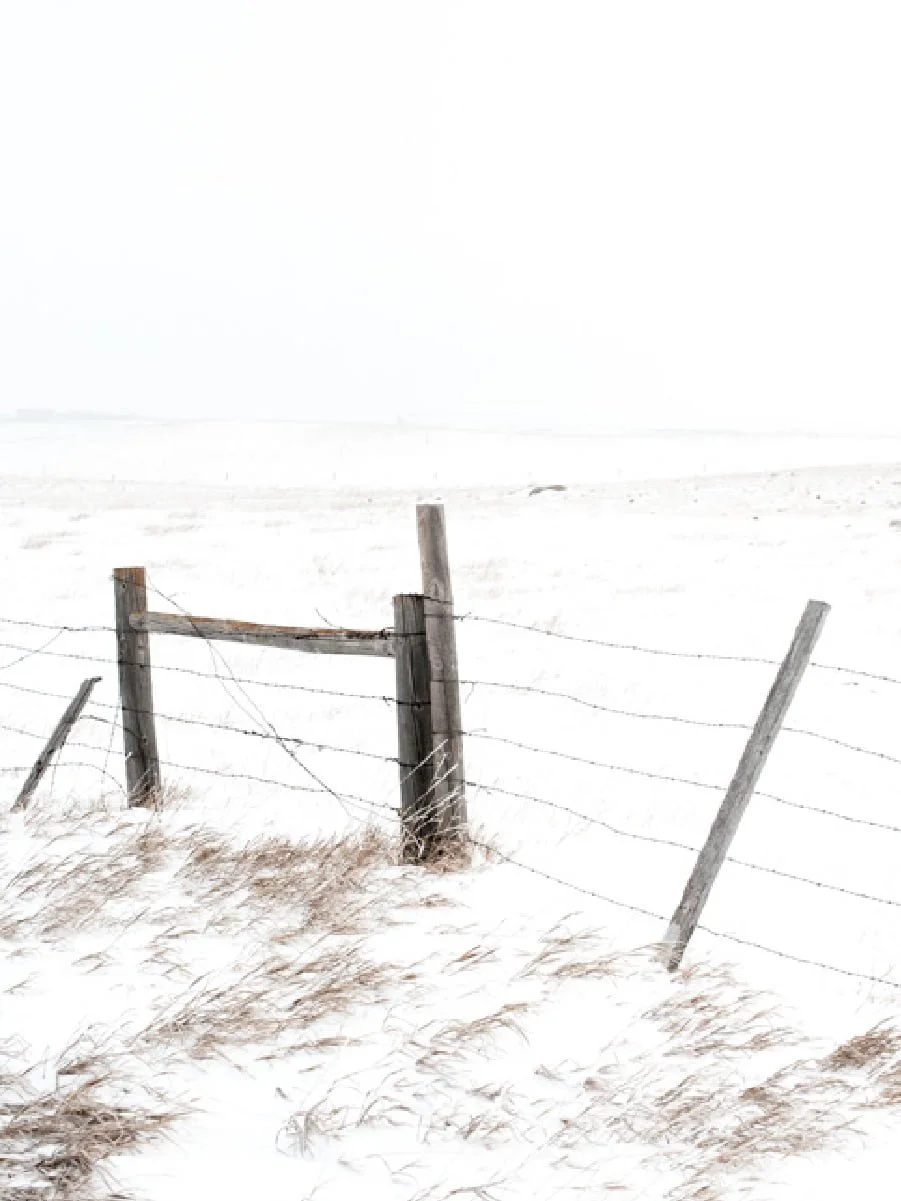 Winter Soil Management: Preparing for a Successful Planting Season