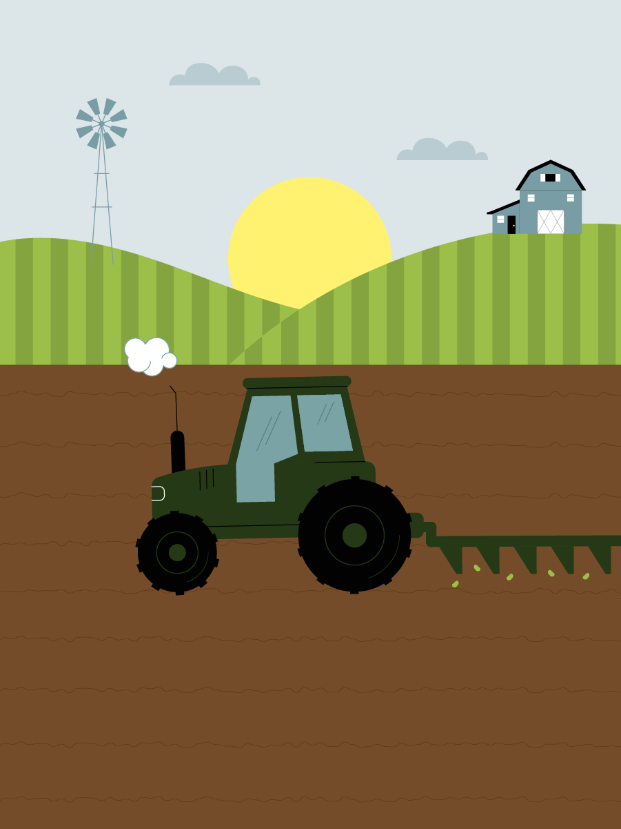 From Seeds to Superfoods: How Soybeans Grow