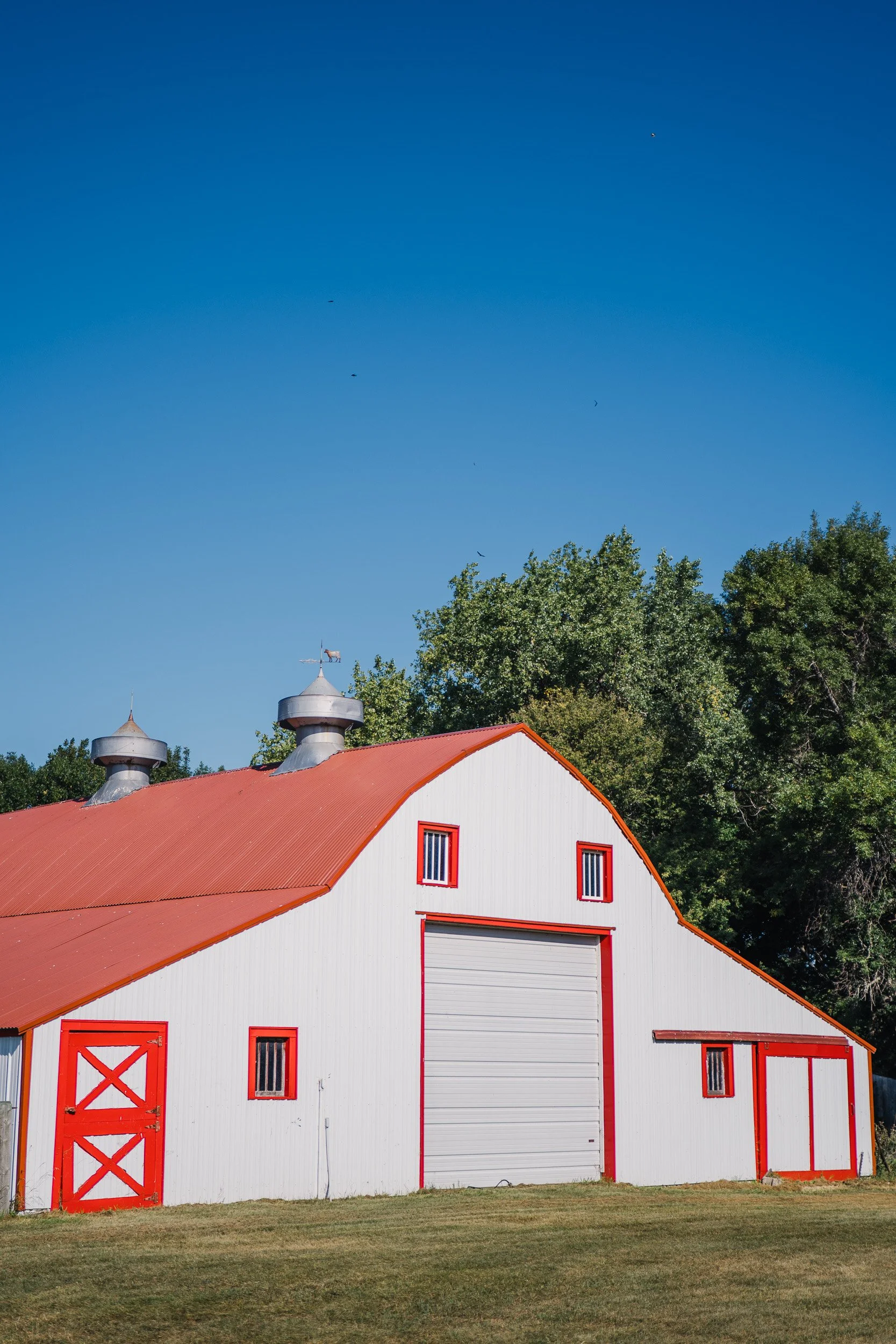 HFT - Terry Jaspers Farmer Feature-2.jpg