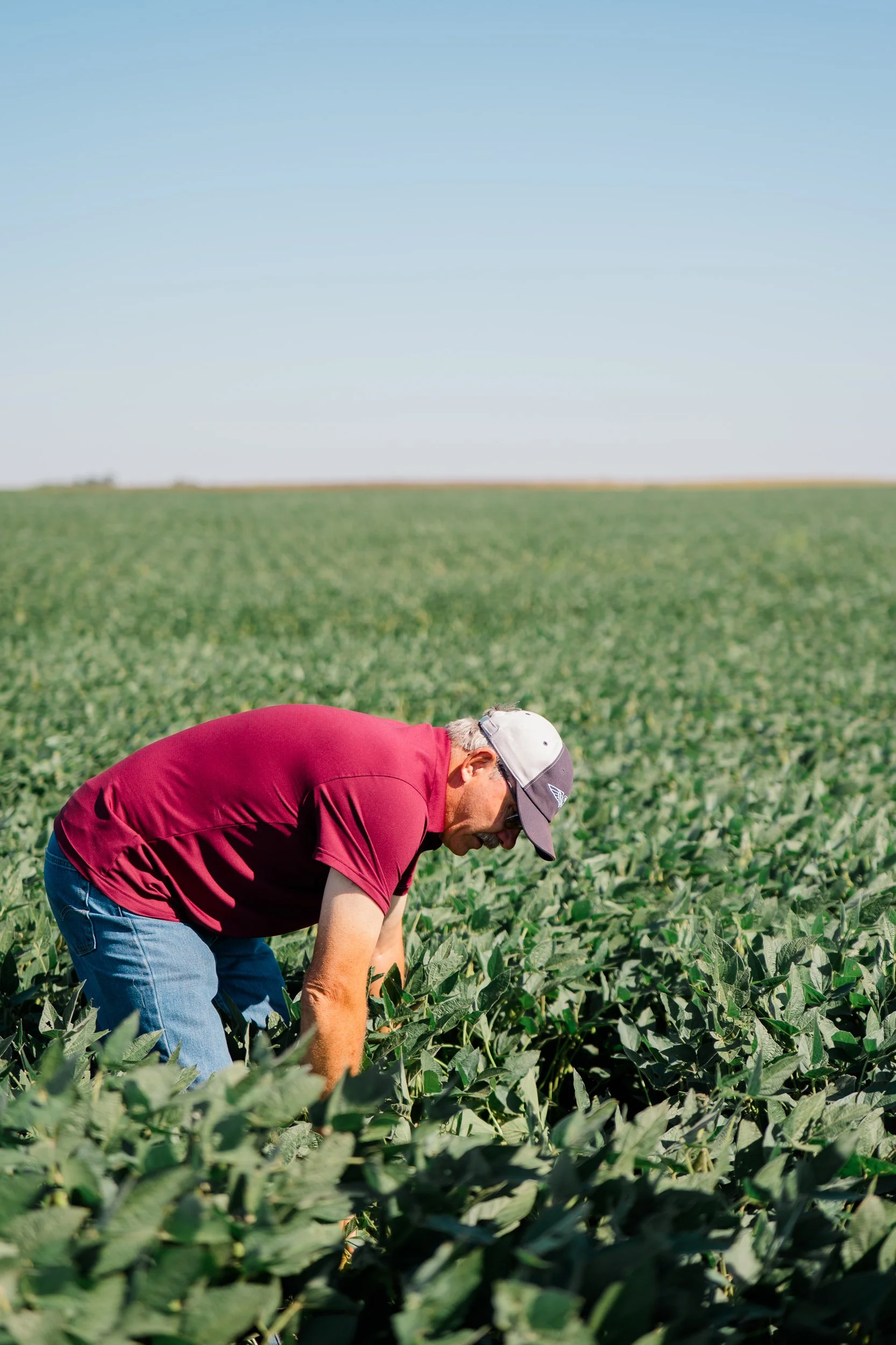HFT - Terry Jaspers Farmer Feature-20.jpg