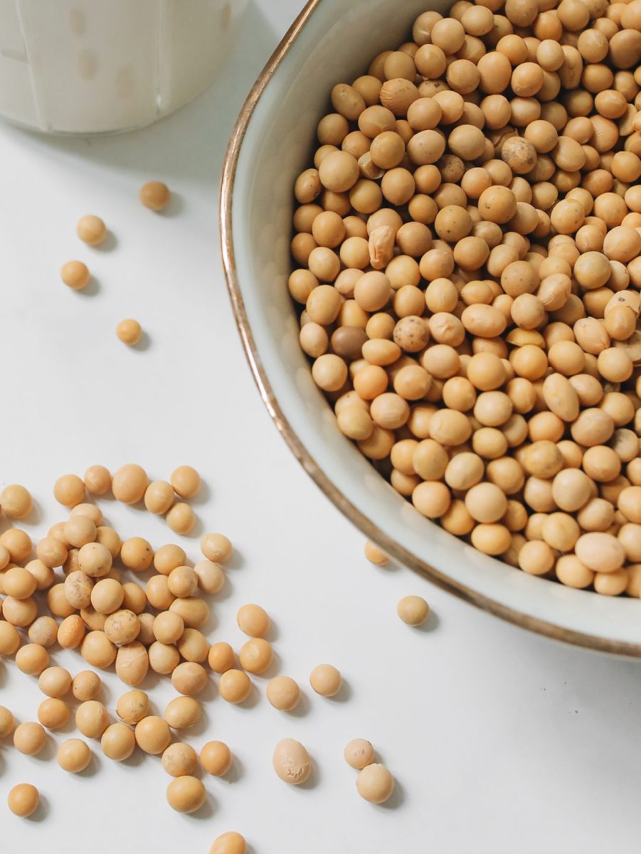 What You Need to Know About High Oleic Soybeans