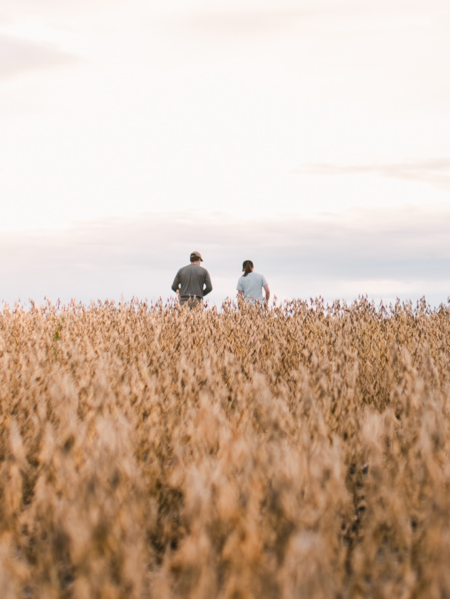 What Does the Future of Farming Look Like?