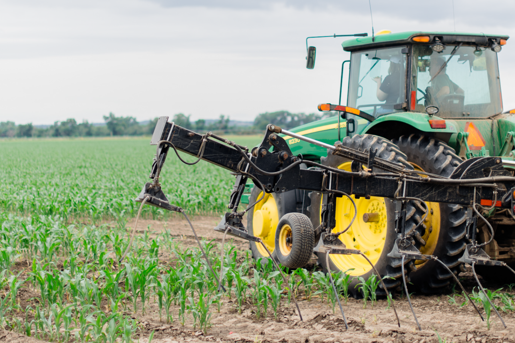Tractor spraying a corn field