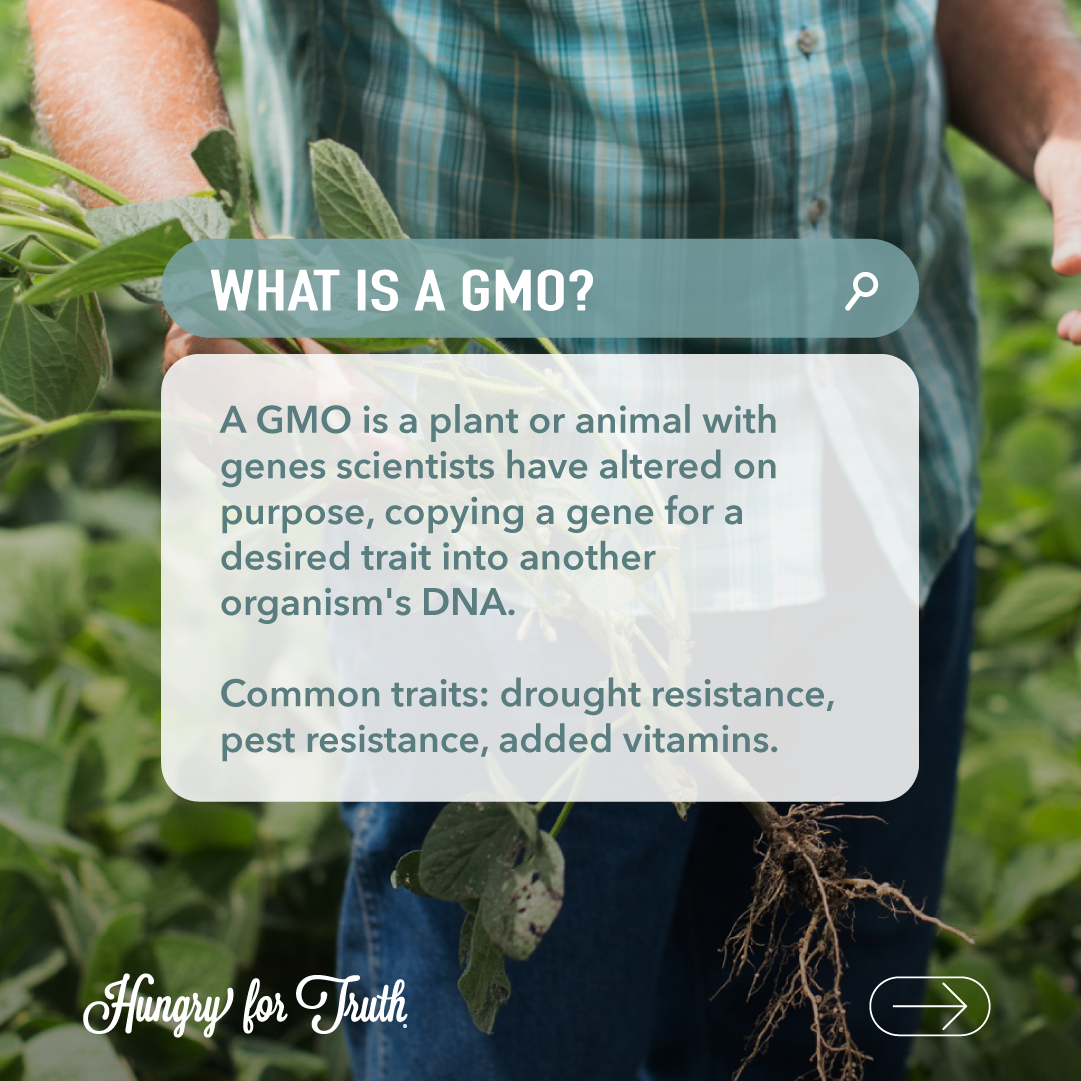 what is a gmo graphic