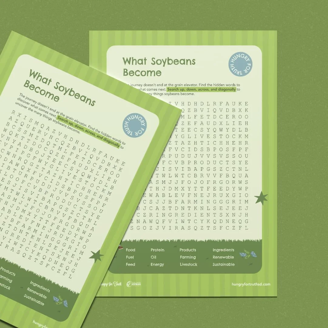 Hungry For Truth word search activity.