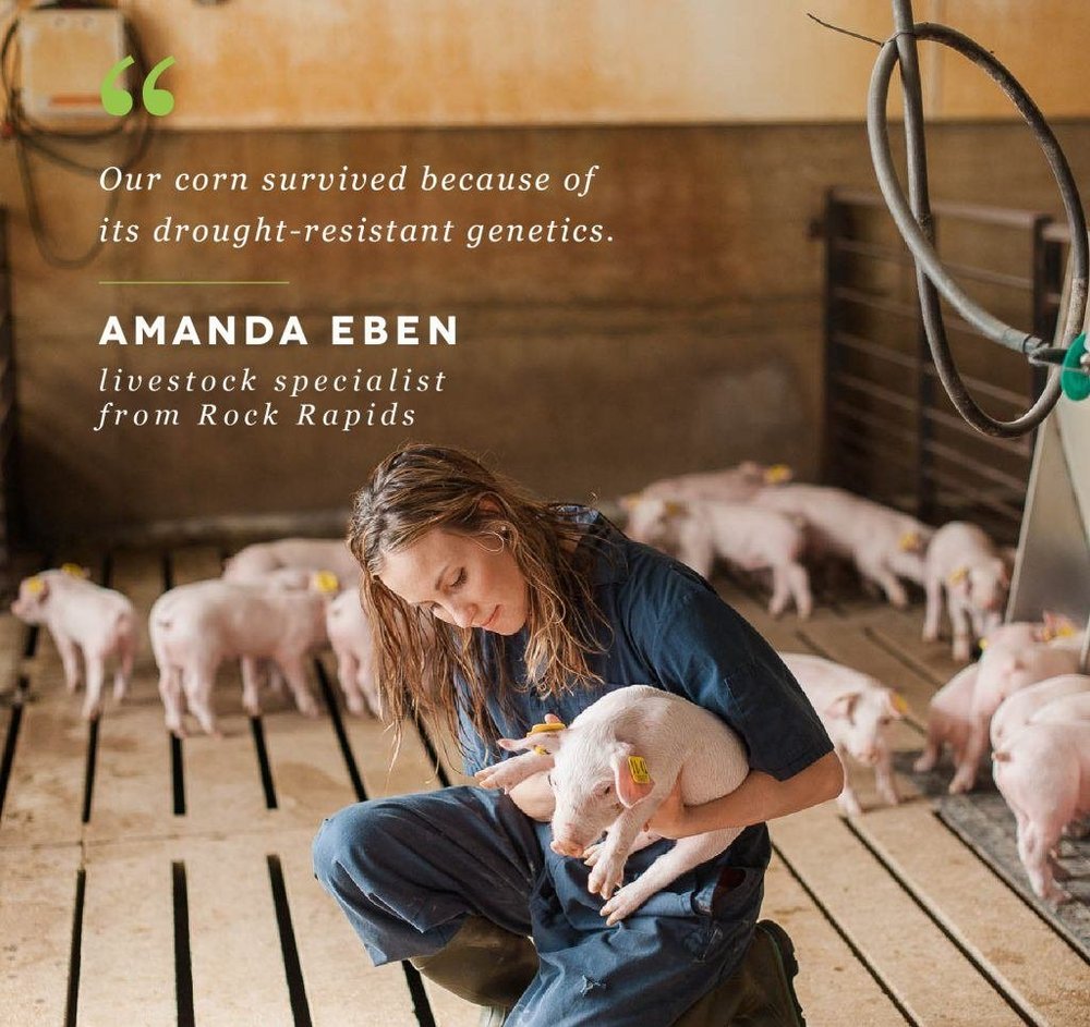 Why Do Farmers Use GMOs? — Hungry For Truth