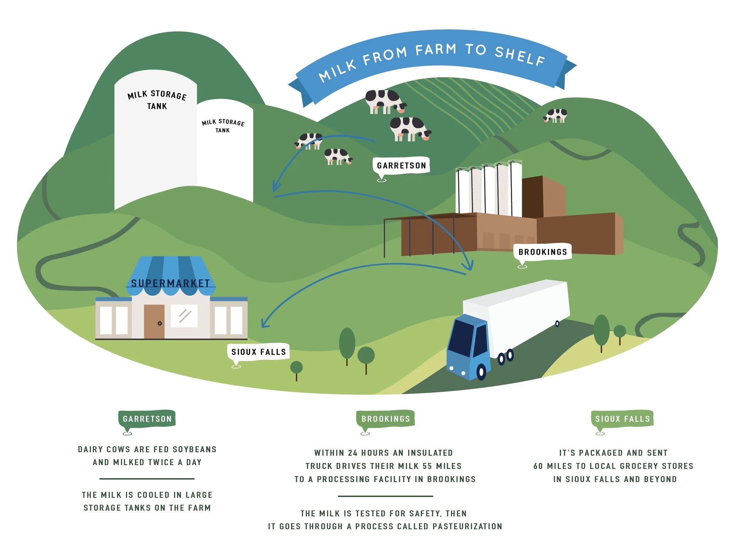 Milk’s Journey from Farm to Shelf — Hungry For Truth