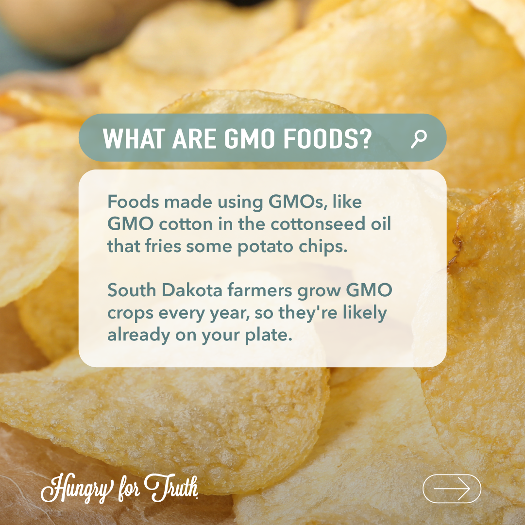 what are gmo foods graphic