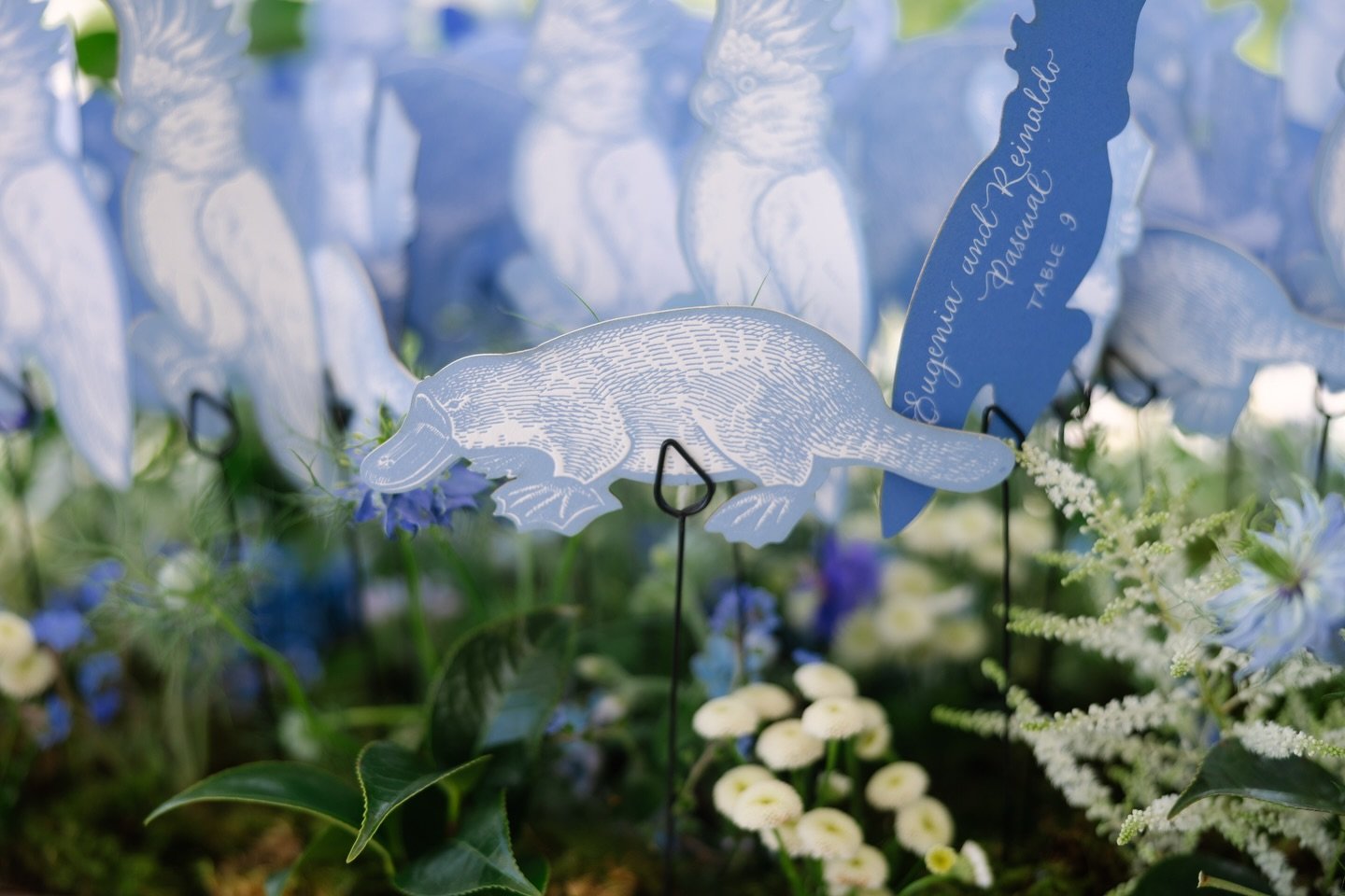 Spending the snow day reminiscing on our summer weddings, and we are still completely obsessed with these escort card animals 🐨