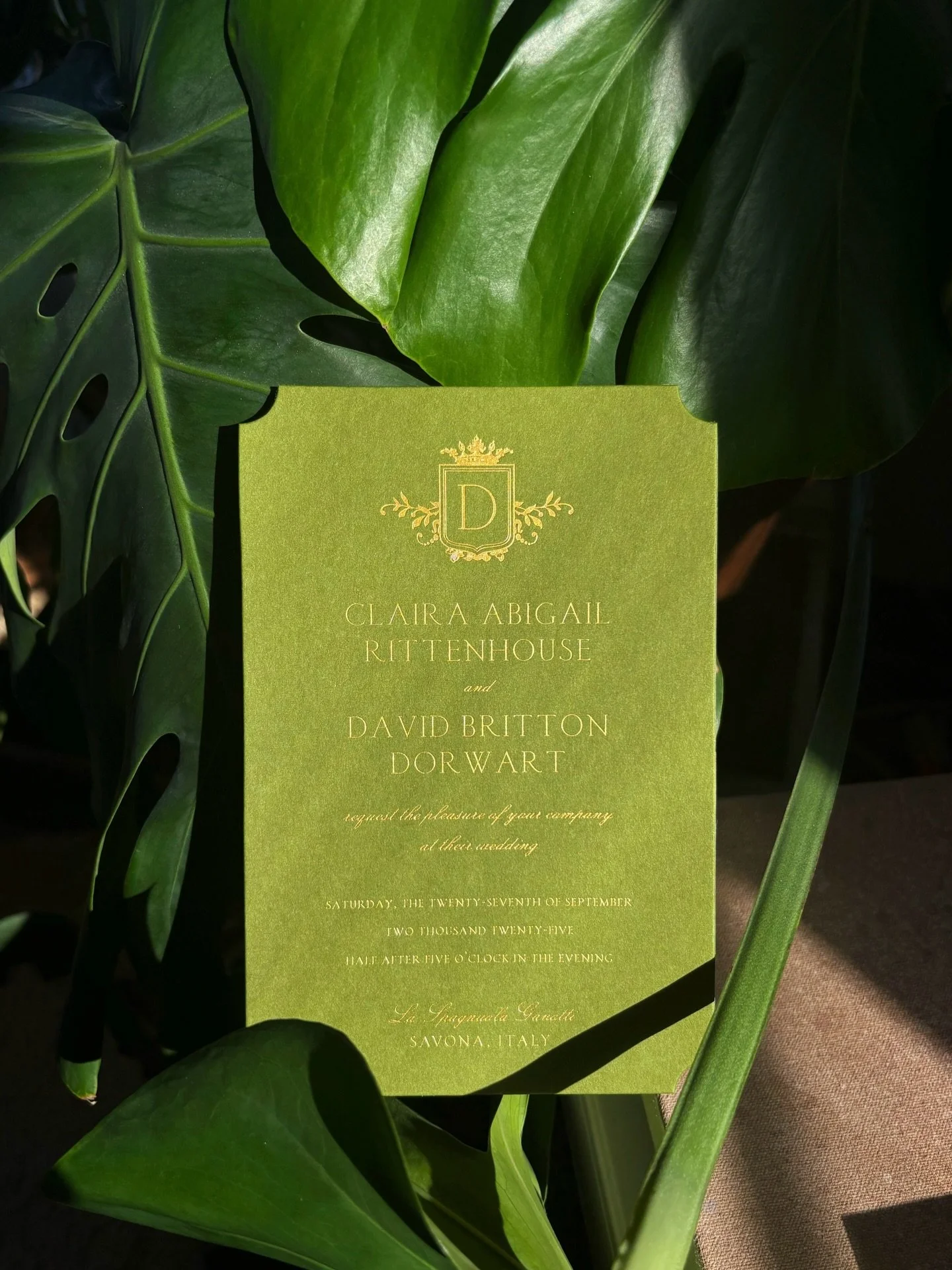 A moment to appreciate Claira and David&rsquo;s gorgeous gold &amp; green 💫🌿