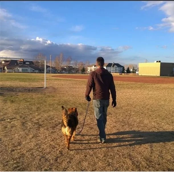 A man walking a dog on a leash across a grassy field on a sunny day with a partly cloudy sky in Airdrie Alberta