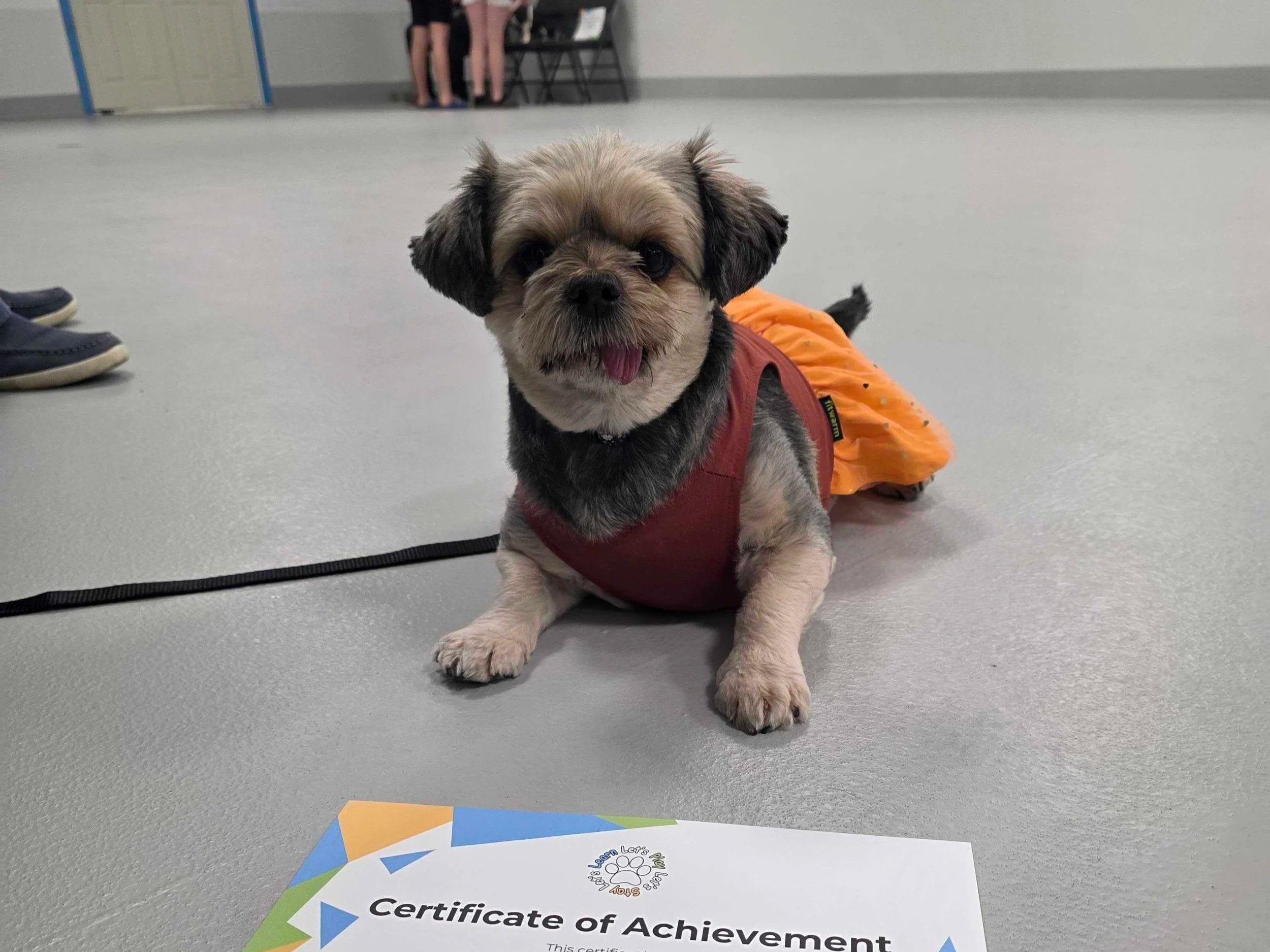 Minding our Manners Course