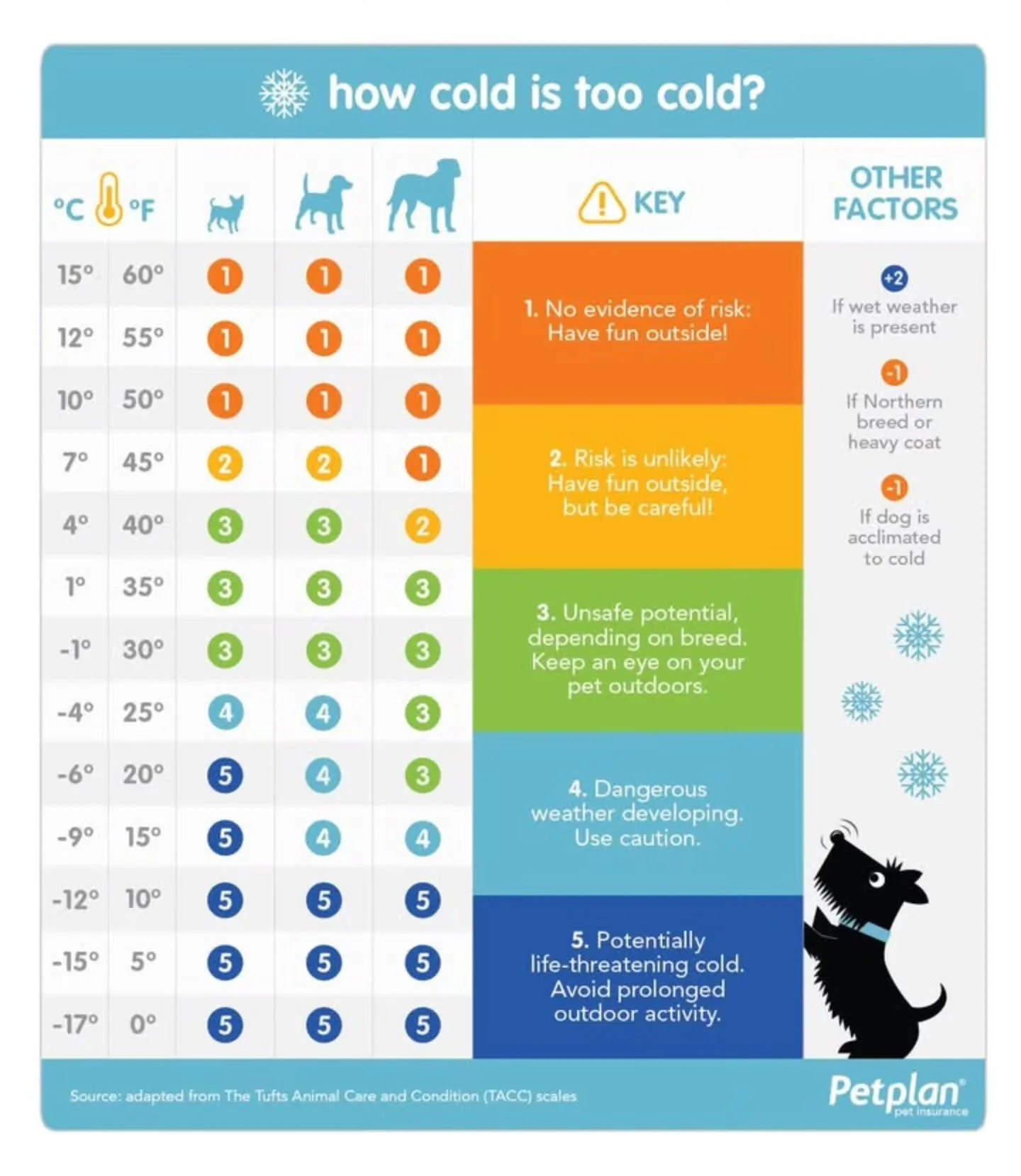 How cold is too cold? 🥶 At APP, we reference the Tufts Animal Care and Condition scales. When temperatures drop, field trips switch to indoor dog school, and potty breaks stay as quick as we can make them, just like you would at home. It's always be