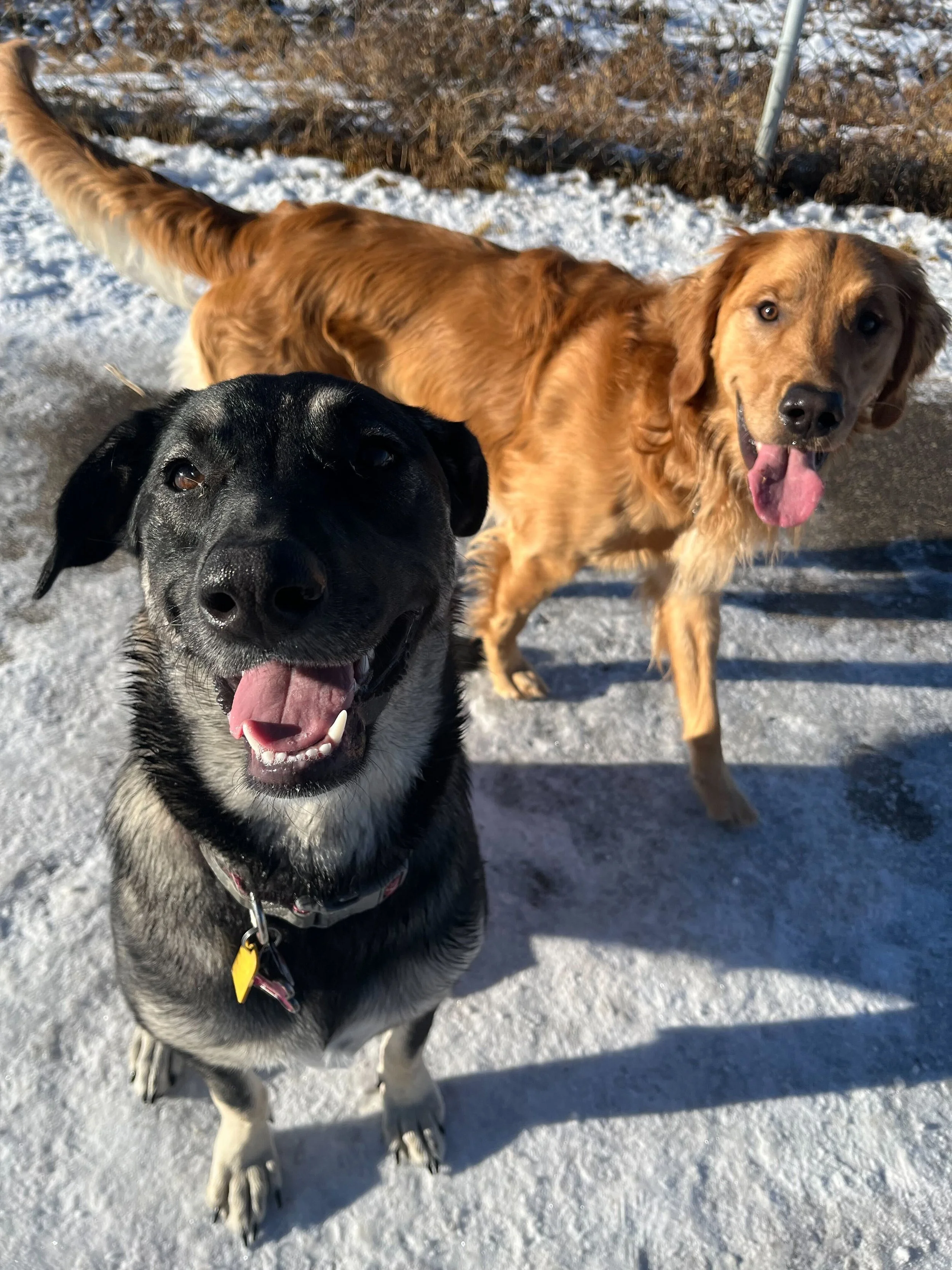 Why Consistency Matters: How Familiarity Creates Safety