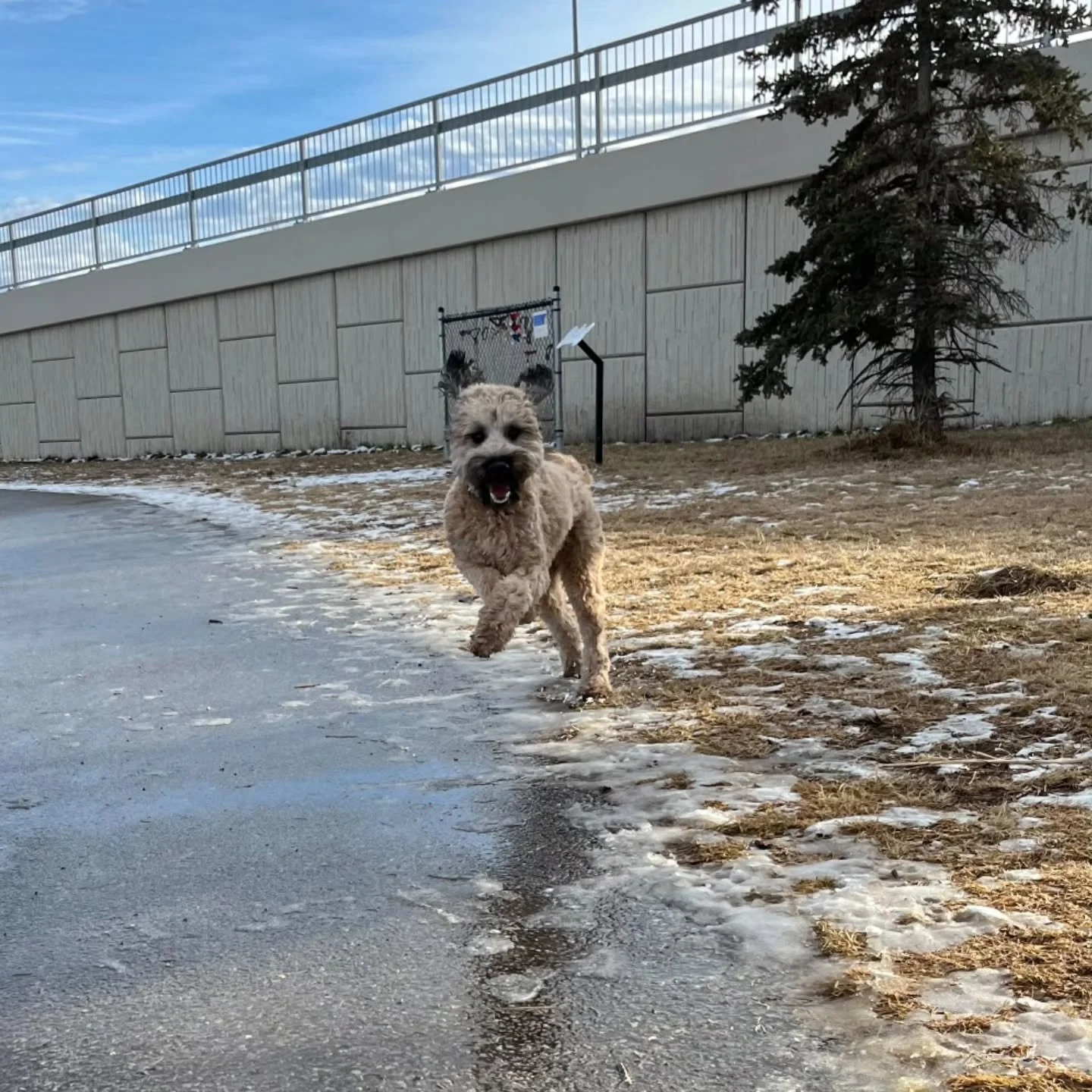 3..2..1.. ACTION 🎬